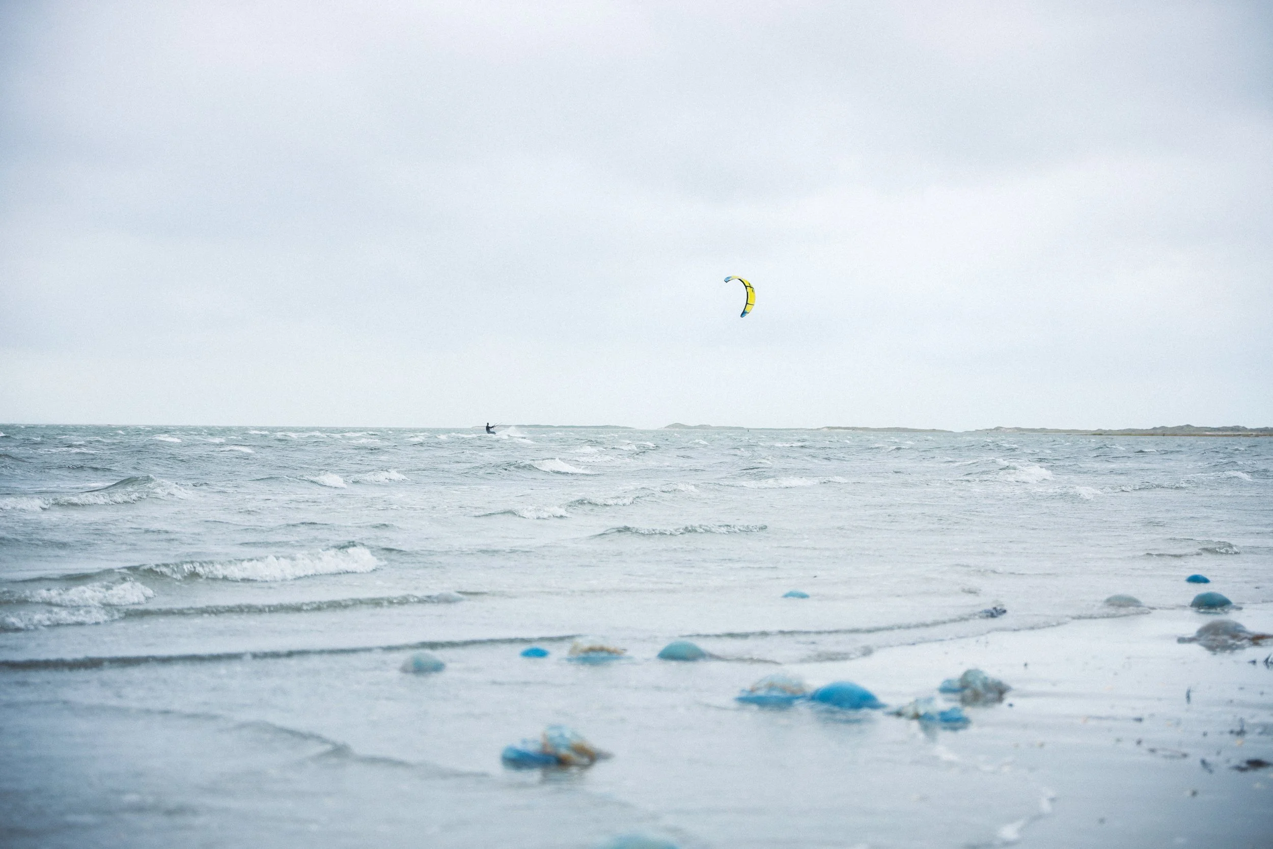 Springtij23_Calluna Denkers-2.jpg