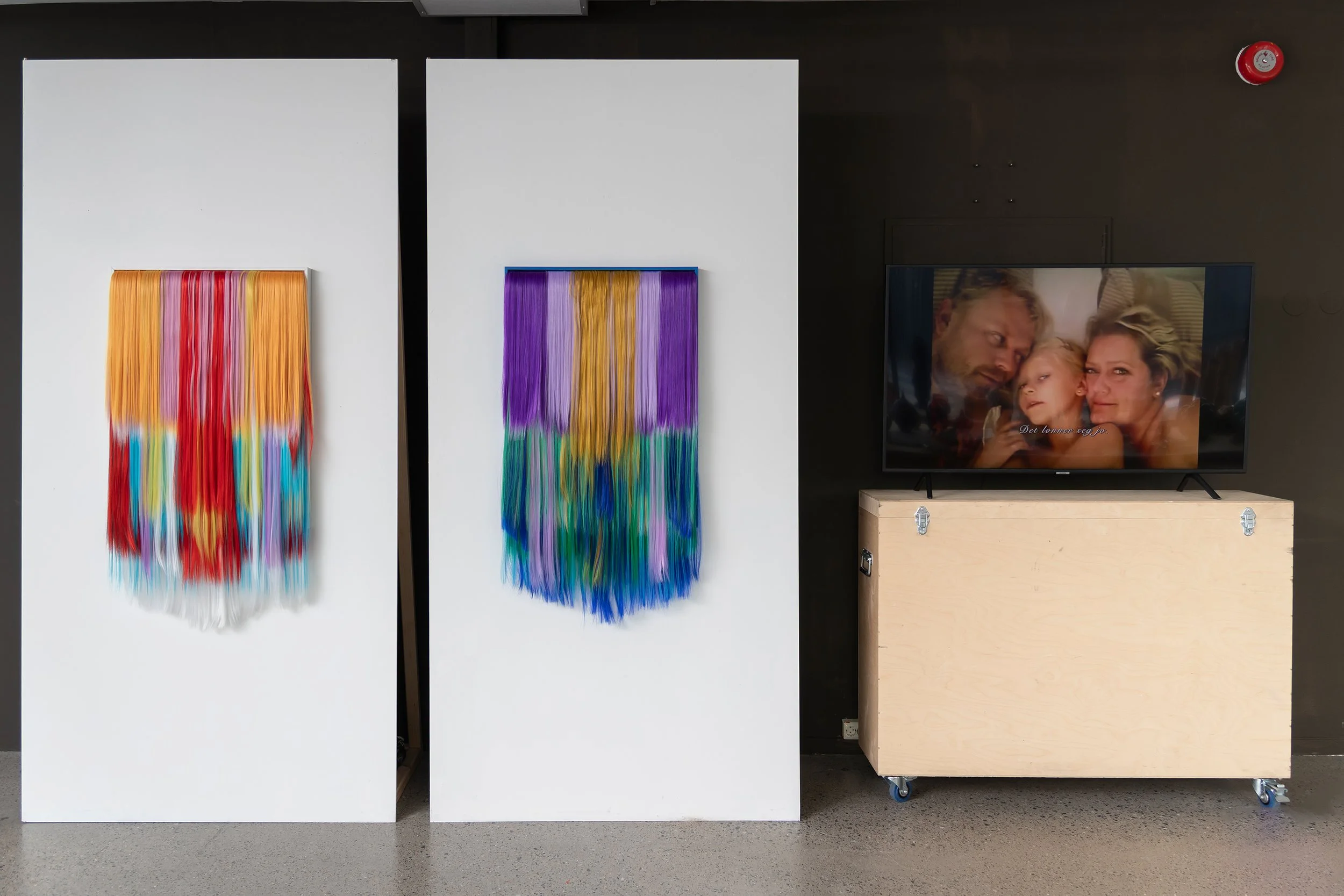 Untitled (Helen), 2025. 
Untitled (Harriet), 2025. 
Both: Acrylic hair, MDF, canvas, wooden frame.
Both: 63 x 114 cm