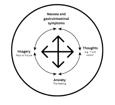 A four areas version of layer 2 showing how all symptoms are linked together