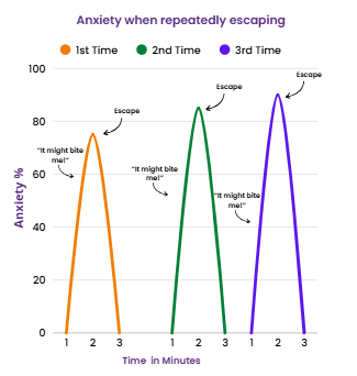 A graph showing how avoidance only grows anxiety
