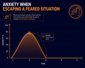 Exposure and Habituation for Specific Phobias: A Guide for PWPs | Low ...