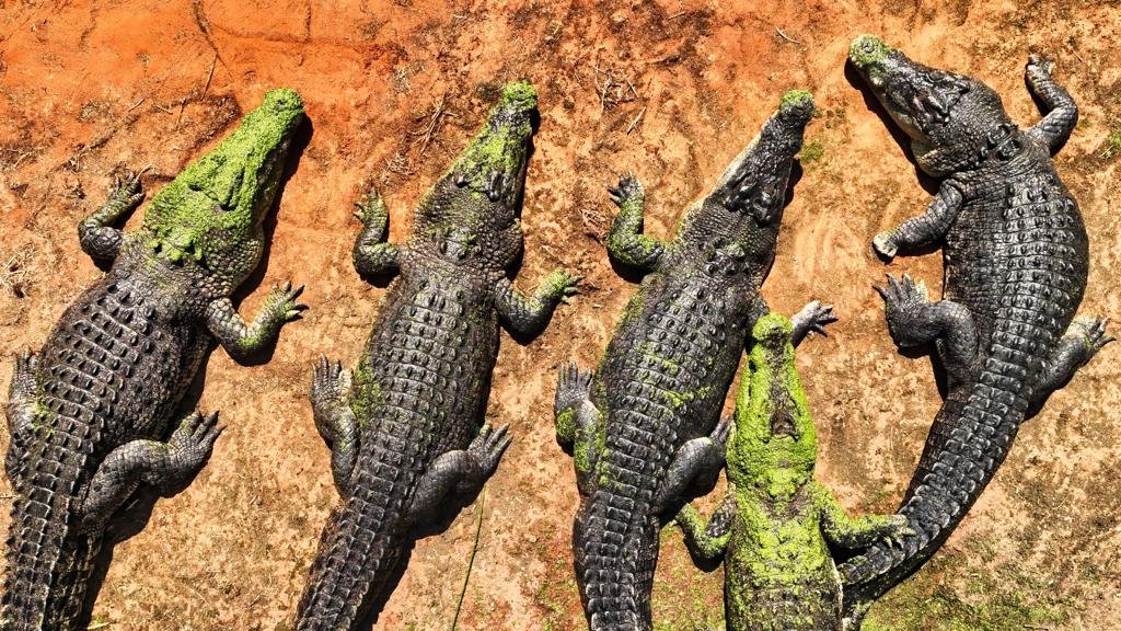 TERRA X : FASCINATING EARTH: AUSTRALIA // ZDF // LOCATION MANAGER (Image @ZDF/Oliver Roetz)