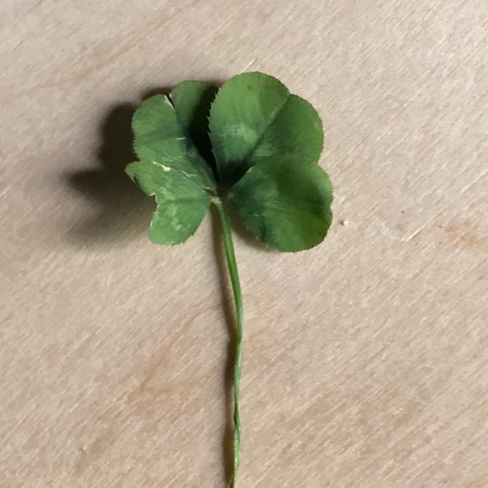 Sharing what Warden's Custom Woodworking has been working on lately and bringing you a little extra luck this week! 🍀 We've got tons of projects happening and we would love to help you with yours! 🛠

#mtjuliettn #mtjuliet #nashvilletn #cncwood #cnc