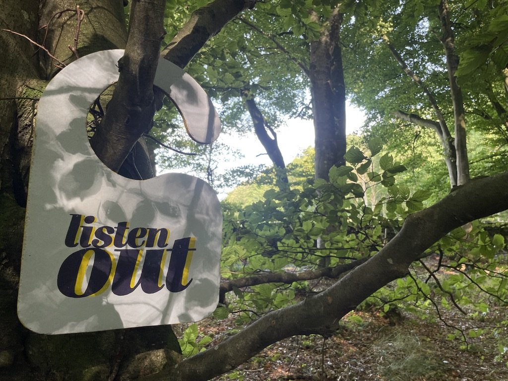 Embed: Hunker down, look up, listen out. The forest provides us with so much. Let's reciprocate, slow down and lend it some of our hard-fought time. Hang for a while. (Selected images: Colin Tennant)