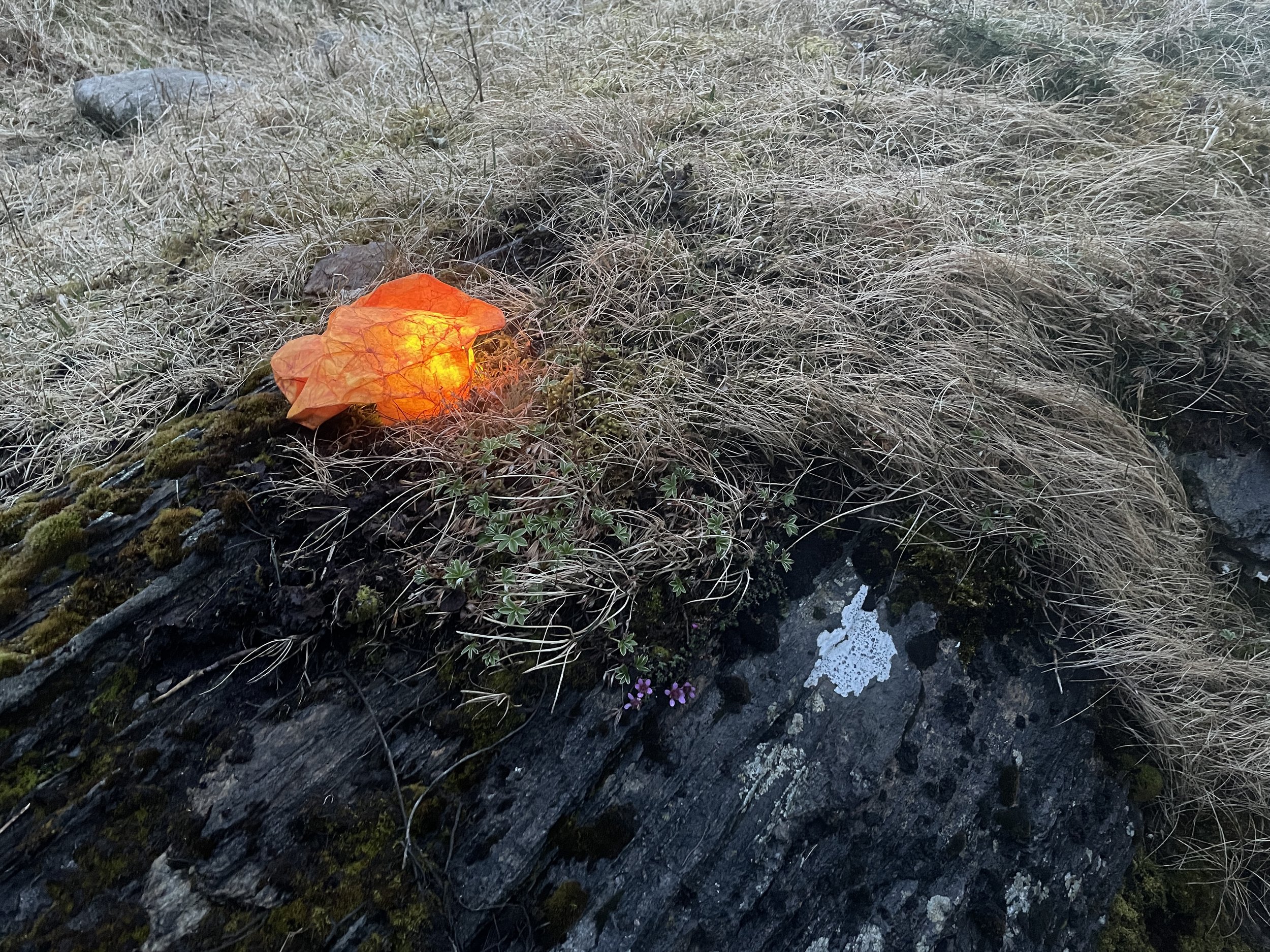 Sustainable, handmade lights, placed outside to mark periods of quiet observation as the twilights fall away to midnight sun in Arctic Norway. The warm colours, achieved using natural pigments, are less intrusive to nocturnal wildlife. An ongoing pro