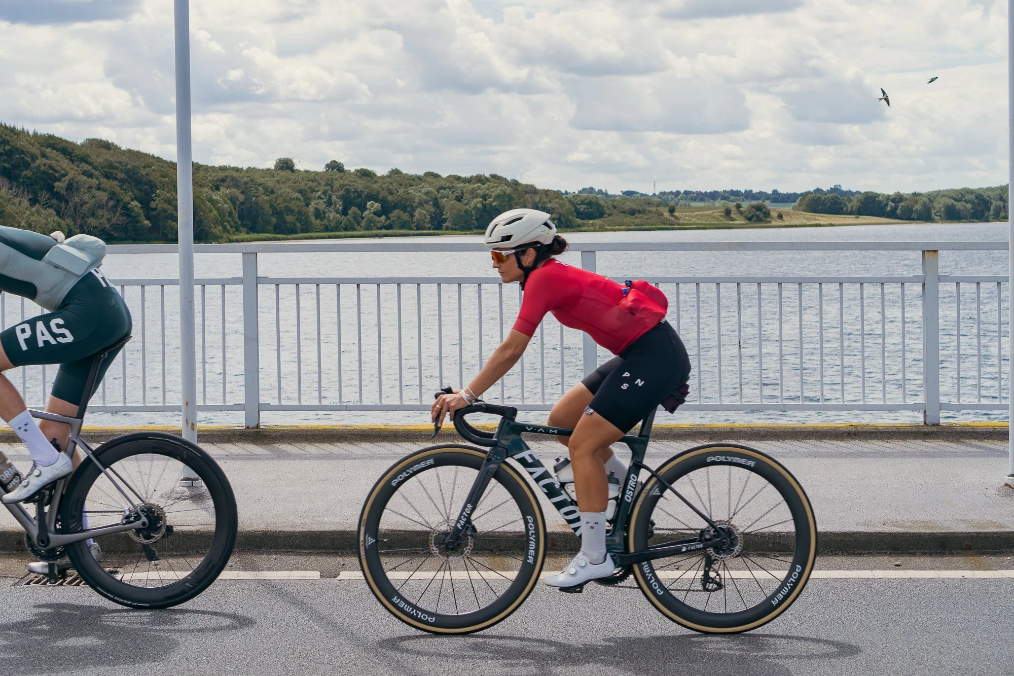 Midsummer - Lo-res-34.jpg