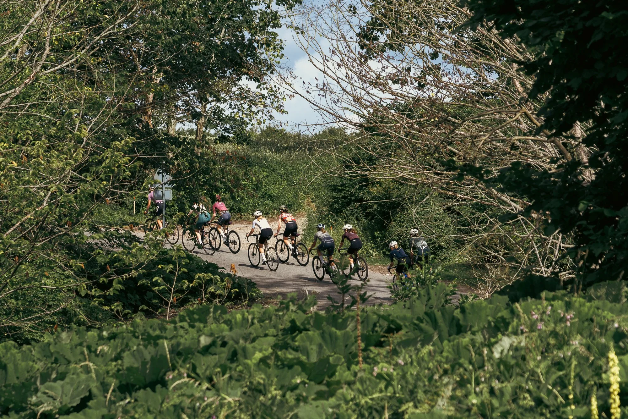 Midsummer - Lo-res-22.jpg