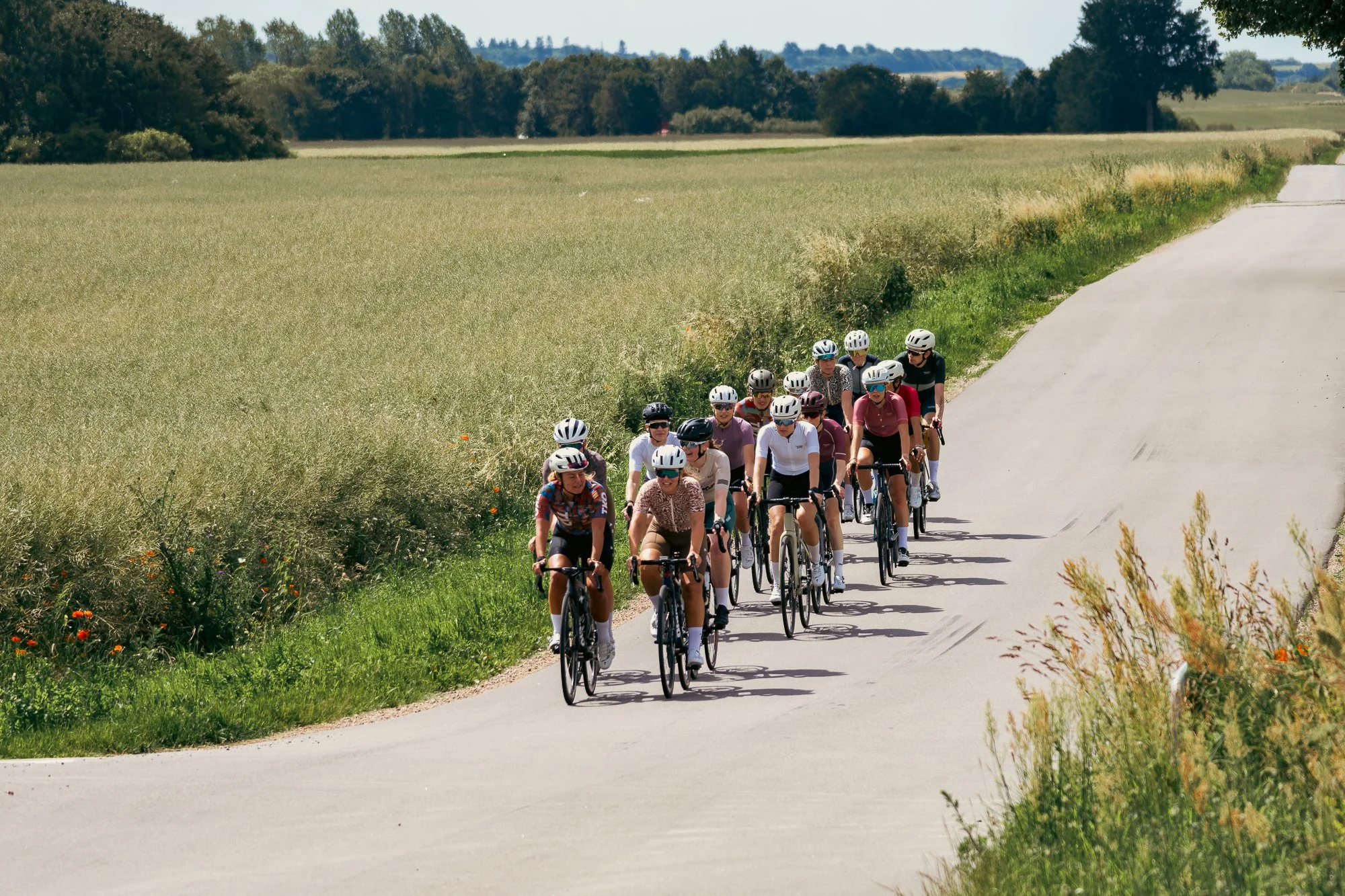 Midsummer - Lo-res-24.jpg