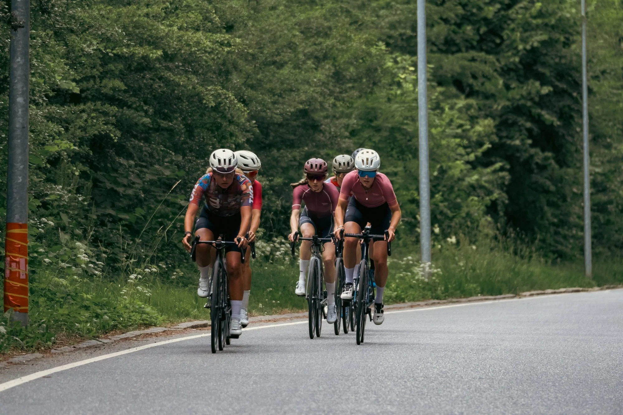 Midsummer - Lo-res-49.jpg