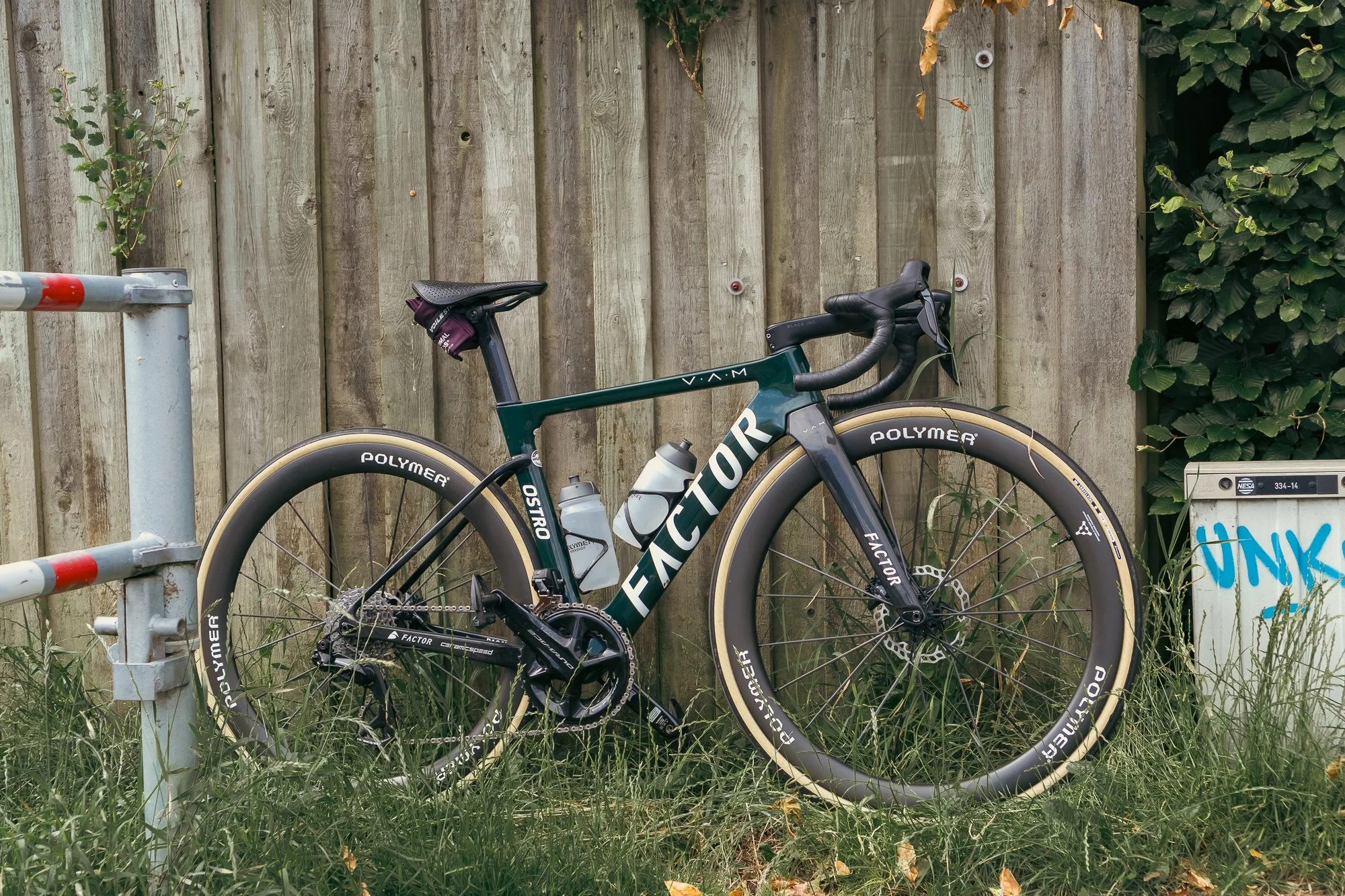 Midsummer - Lo-res-17.jpg