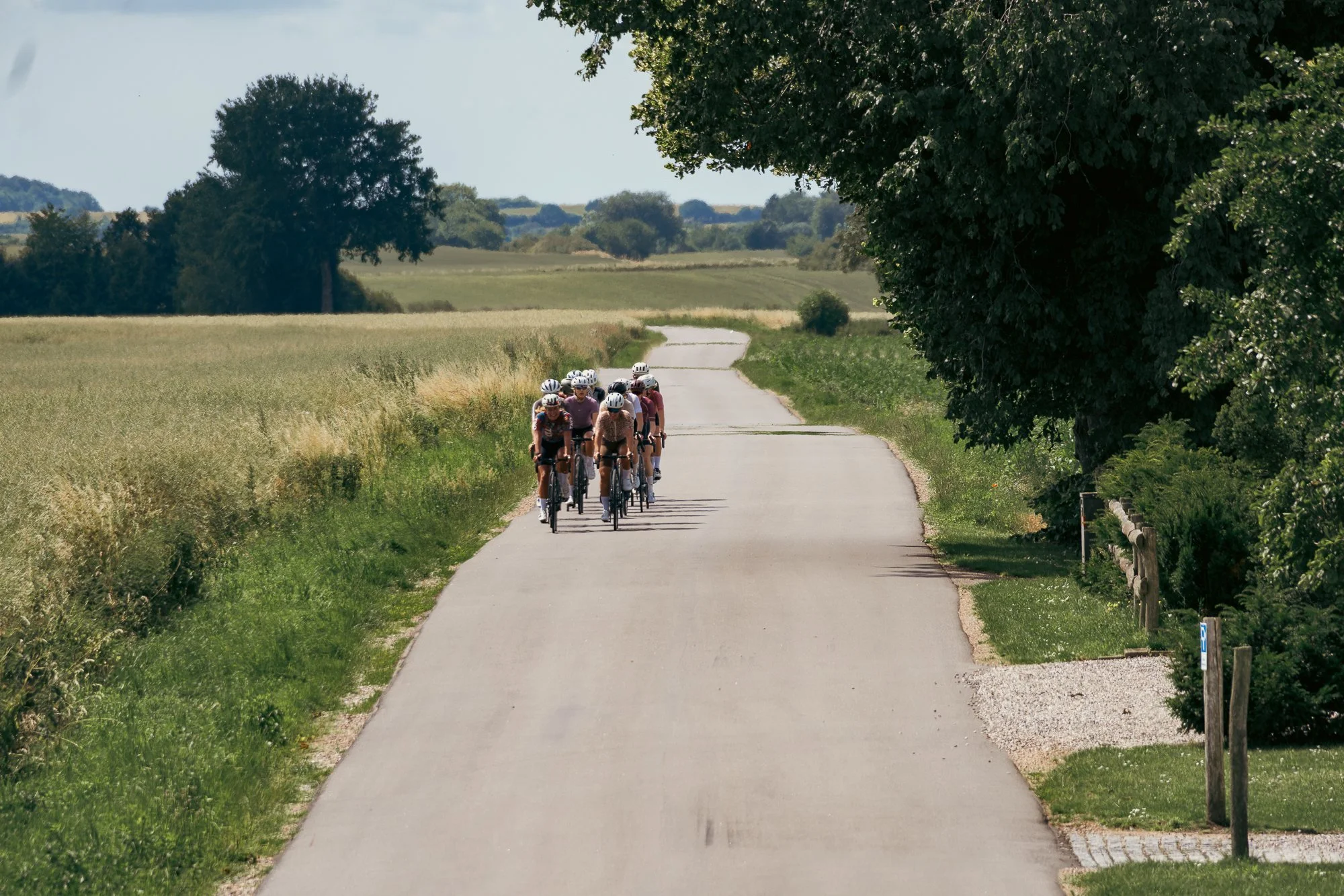 Midsummer - Lo-res-23.jpg