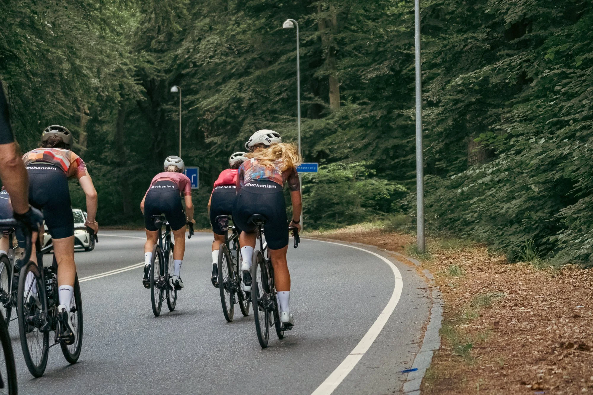 Midsummer - Lo-res-50.jpg