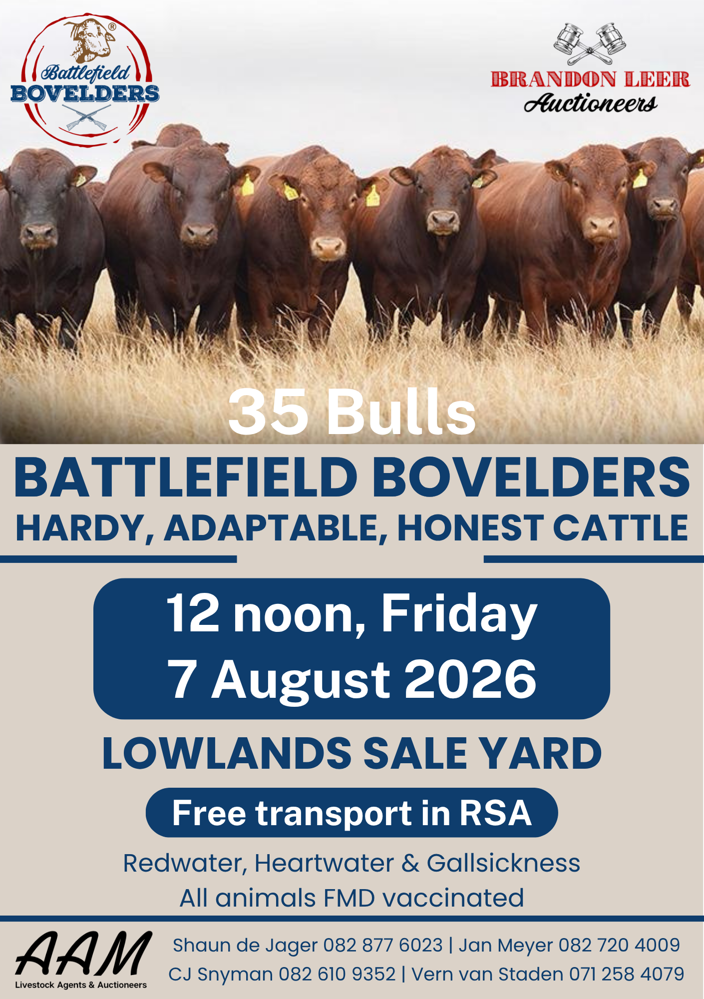 Battlefield Bovelders Sale
