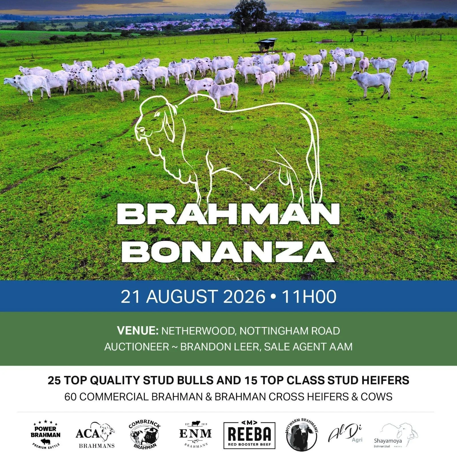 Brahman Bonanza