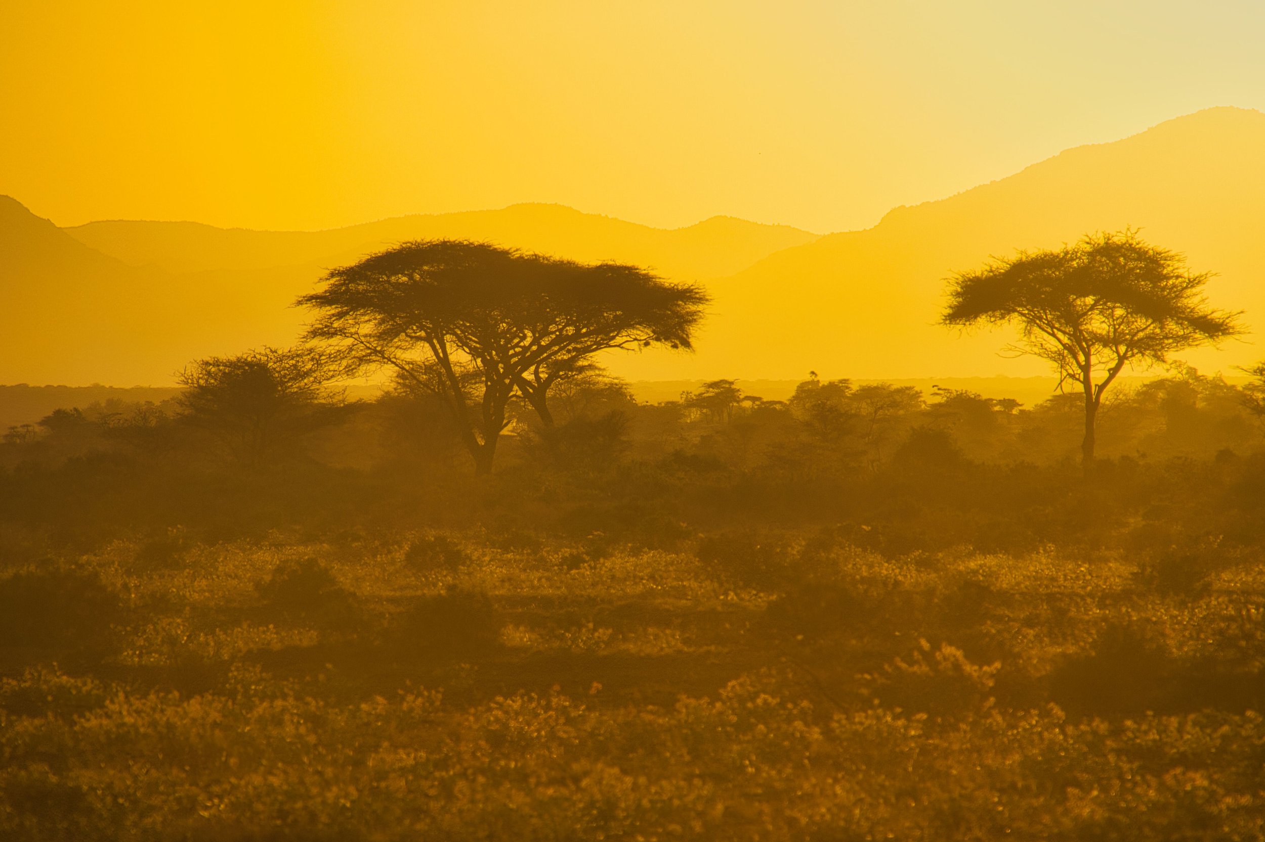 Samburu sunset.jpg