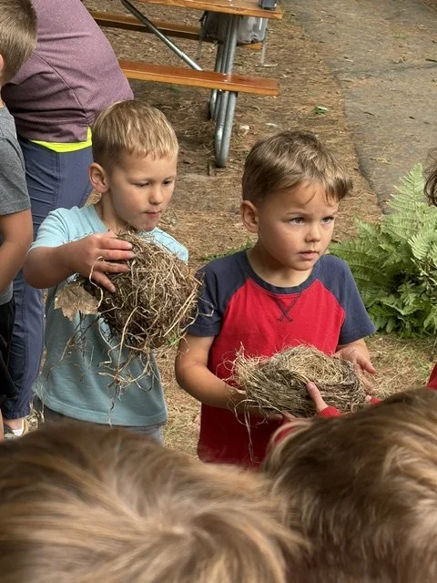 IMG_2357 (1).JPEG
