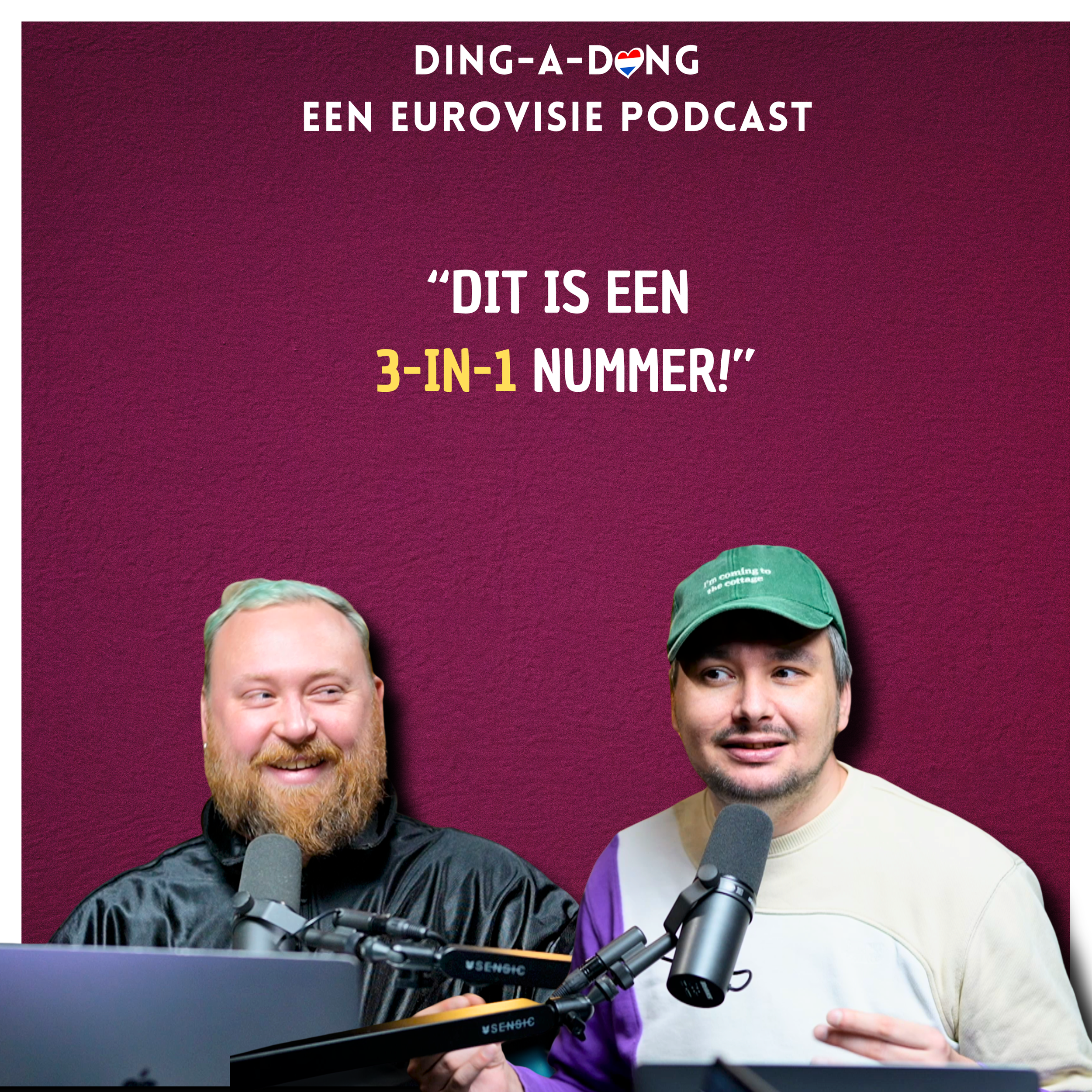 Op zoek naar de nieuwe Songfestivalwinnaar (of niet) - S8E27