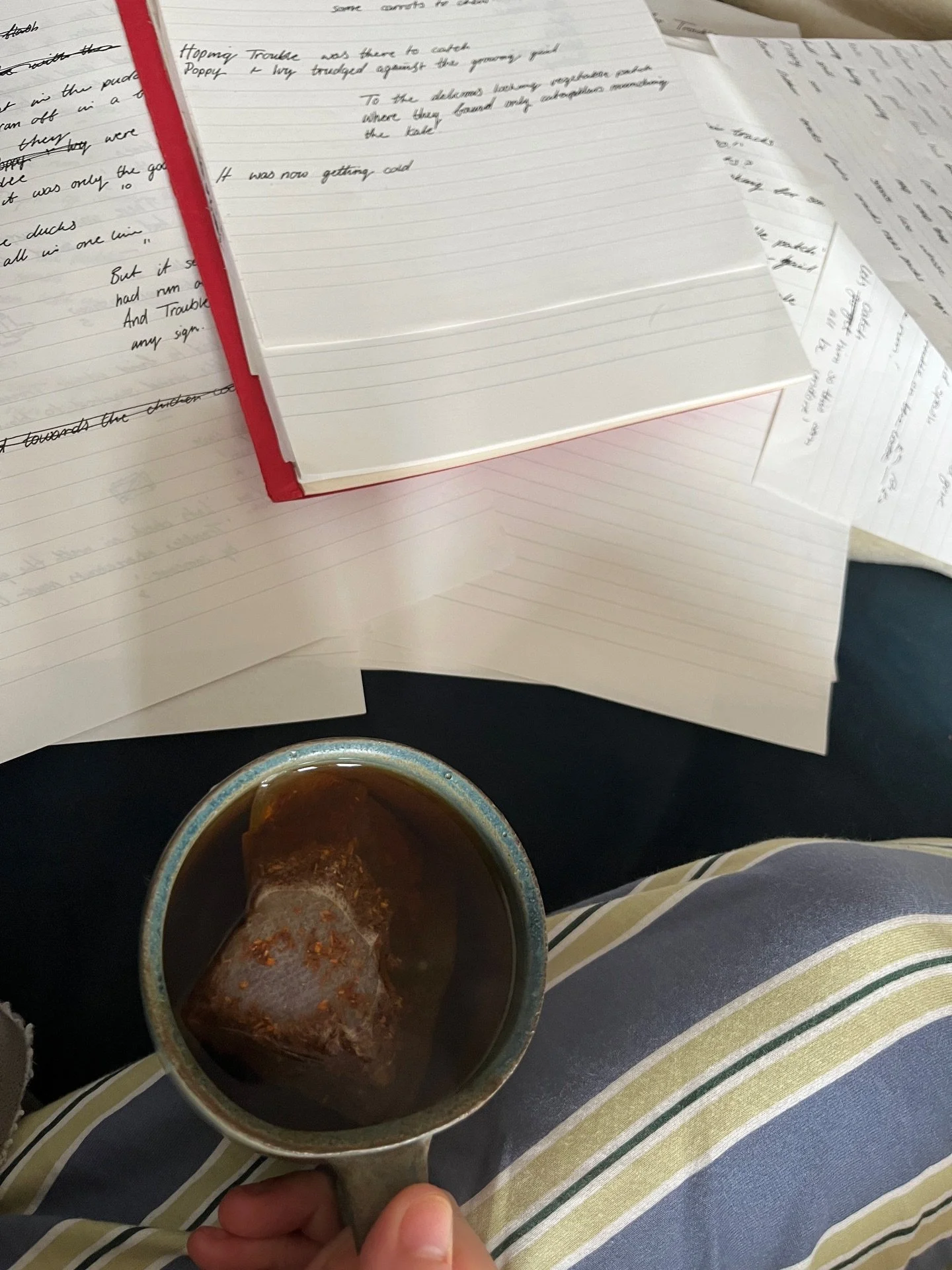 2025 - The year I printed my first children&rsquo;s book 

For anyone that has been lucky enough to not have to listen to me talk about this project for the past year and a half, I&rsquo;ll explain a little bit about it. 
This is a personal project f