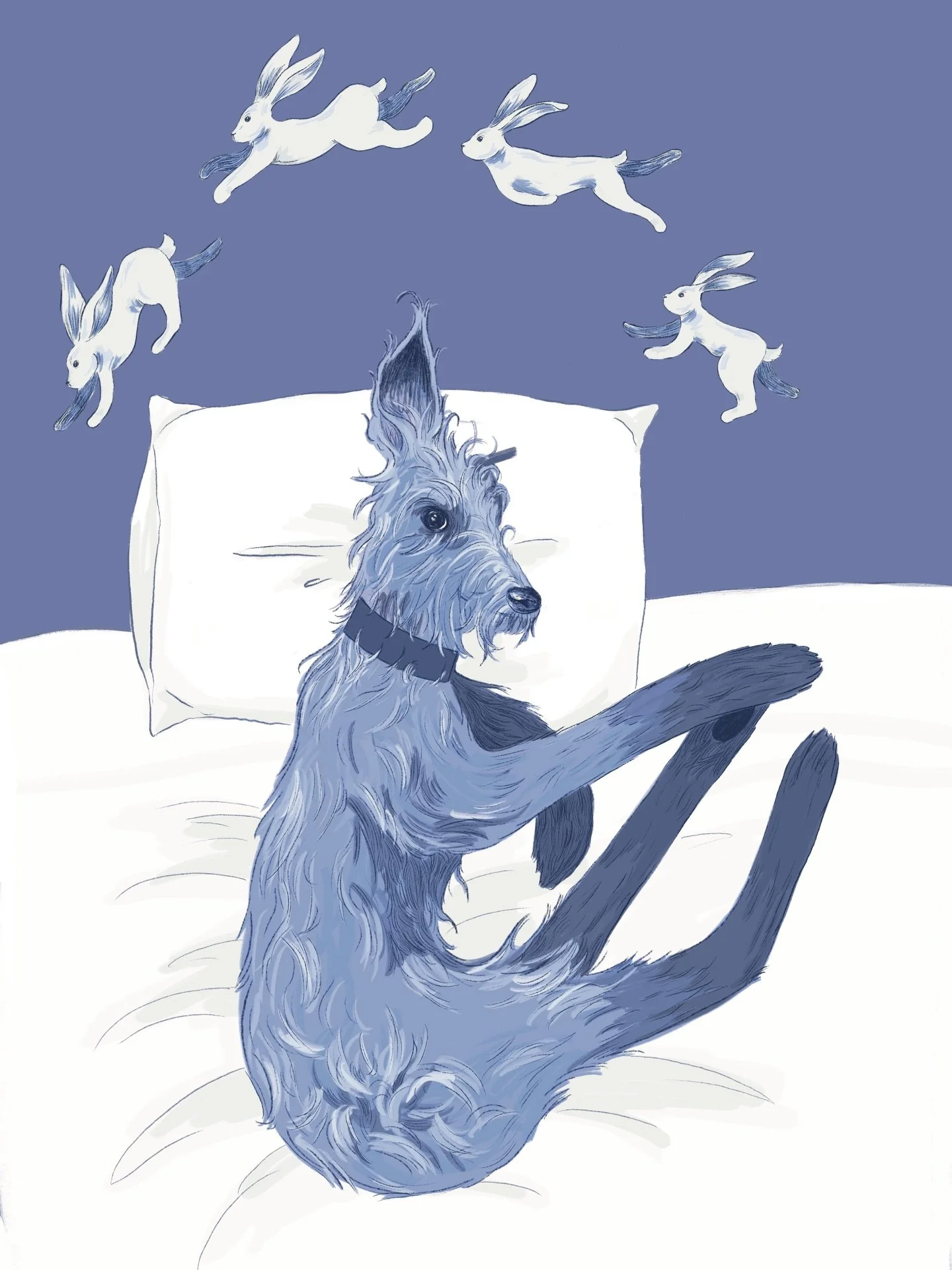 Luna 🐇

A long overdue illustration for Helen &amp; Chae of their wonderful Luna 
@our_lunaverse 

#illustration #illustrator #procreate #dogillustration #petillustration