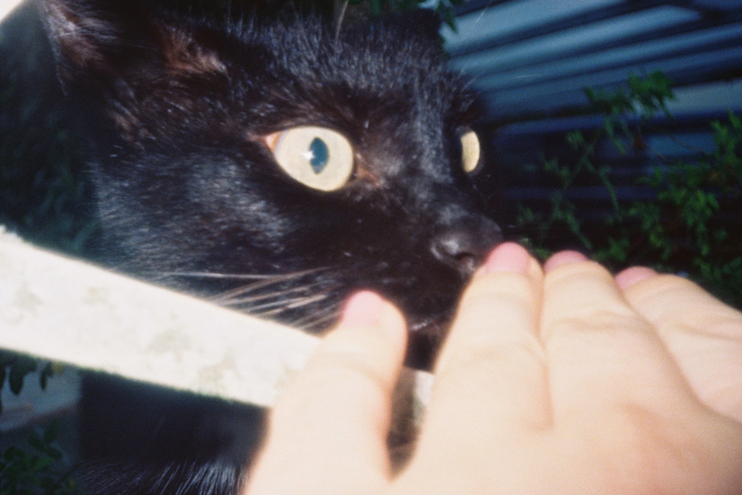 F1000008.JPG