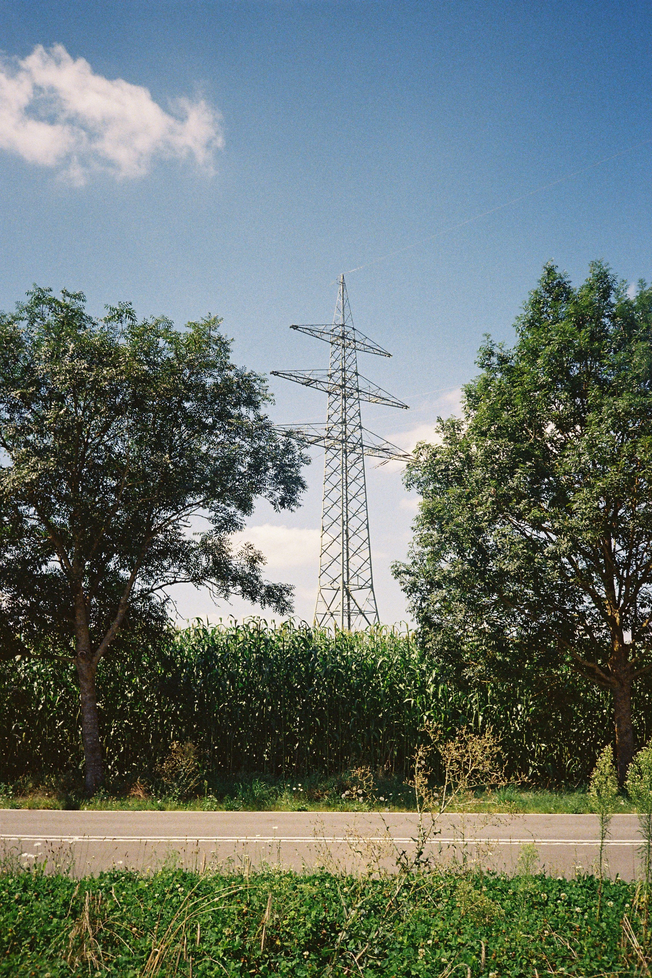F1000012.JPG