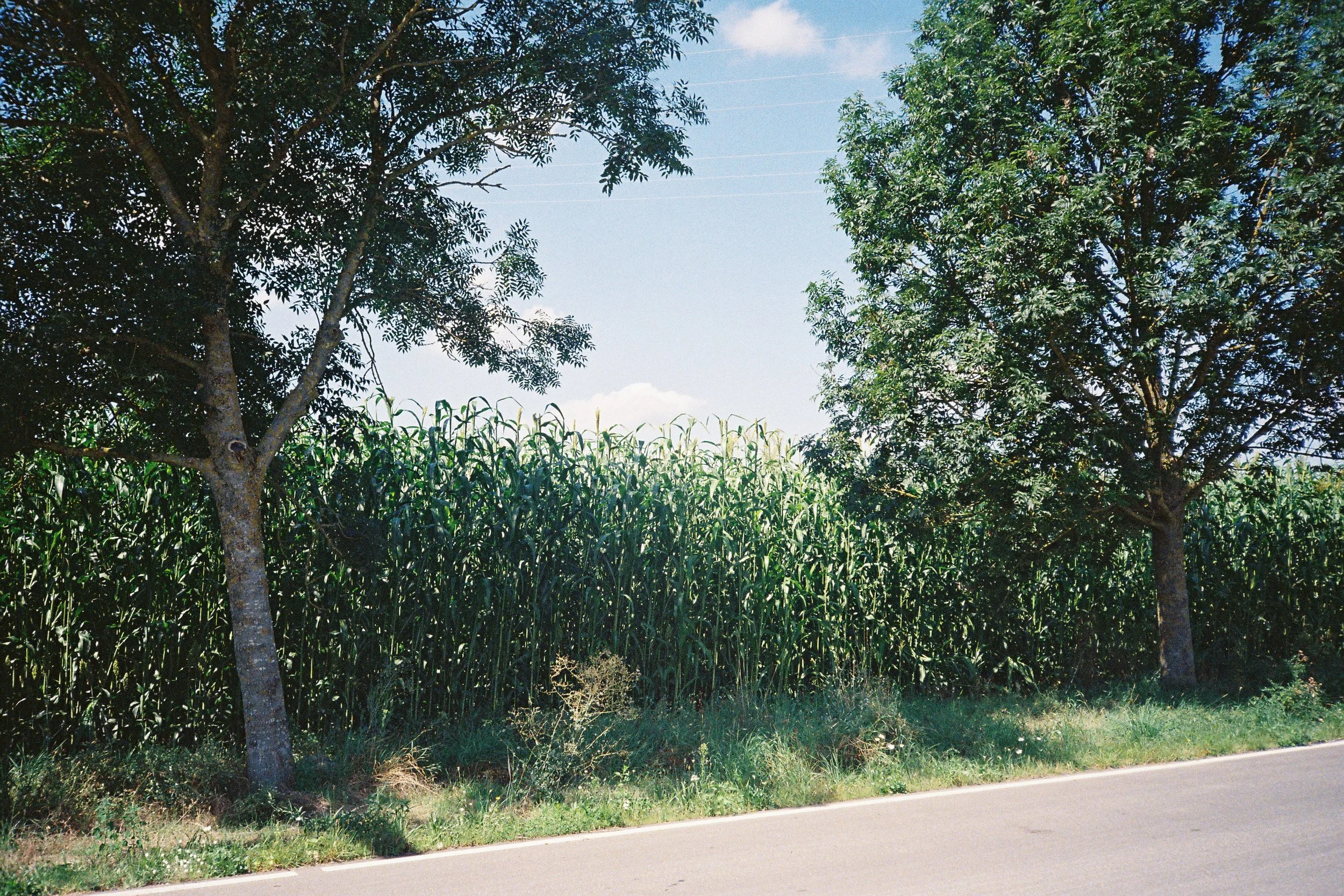 F1000014.JPG
