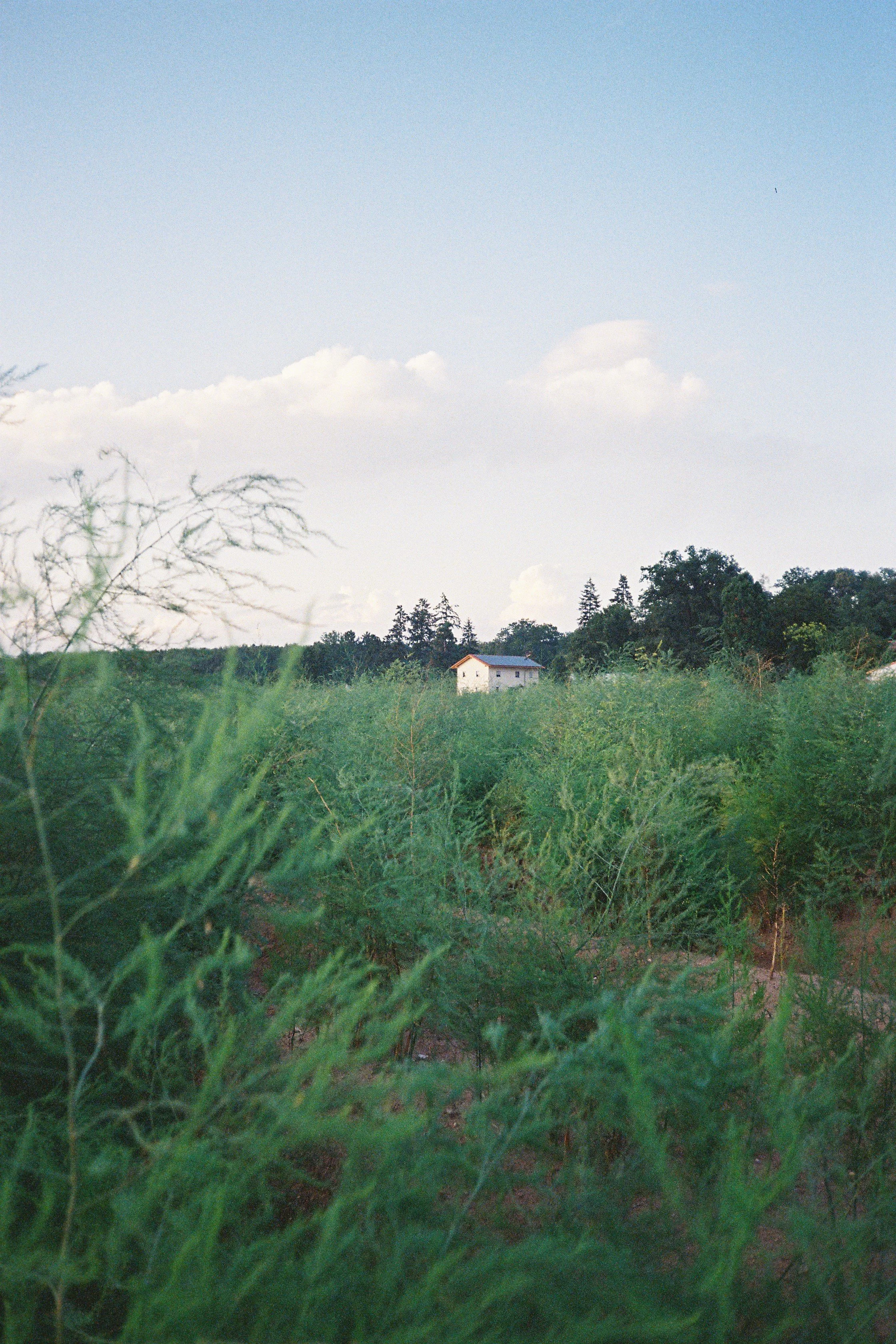 F1000023.JPG