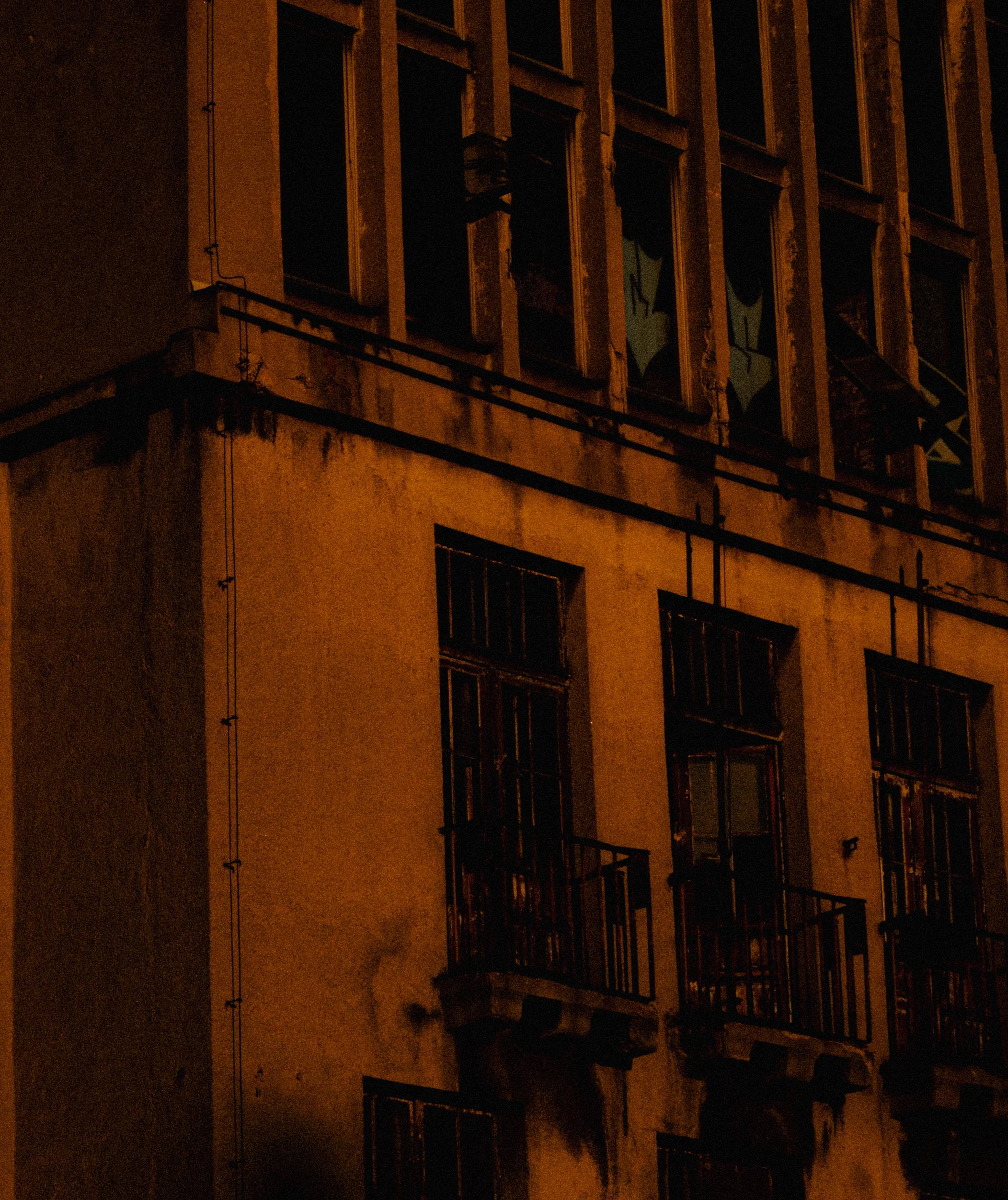 P1380016.jpg