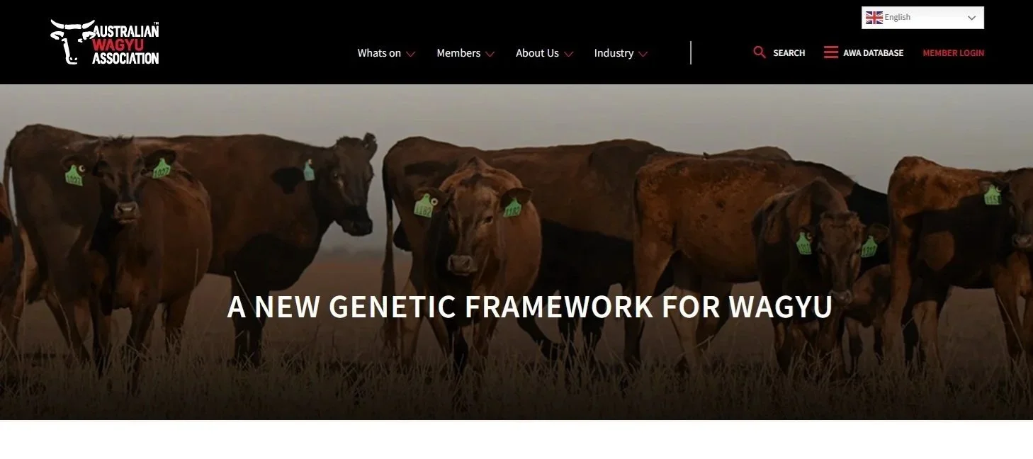 Nouveaux index: Arrivée des WBV en février 2026