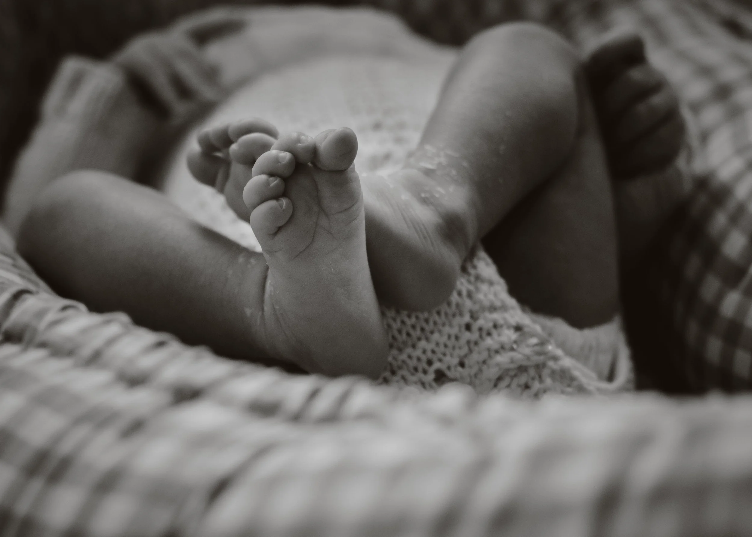 newborn photography