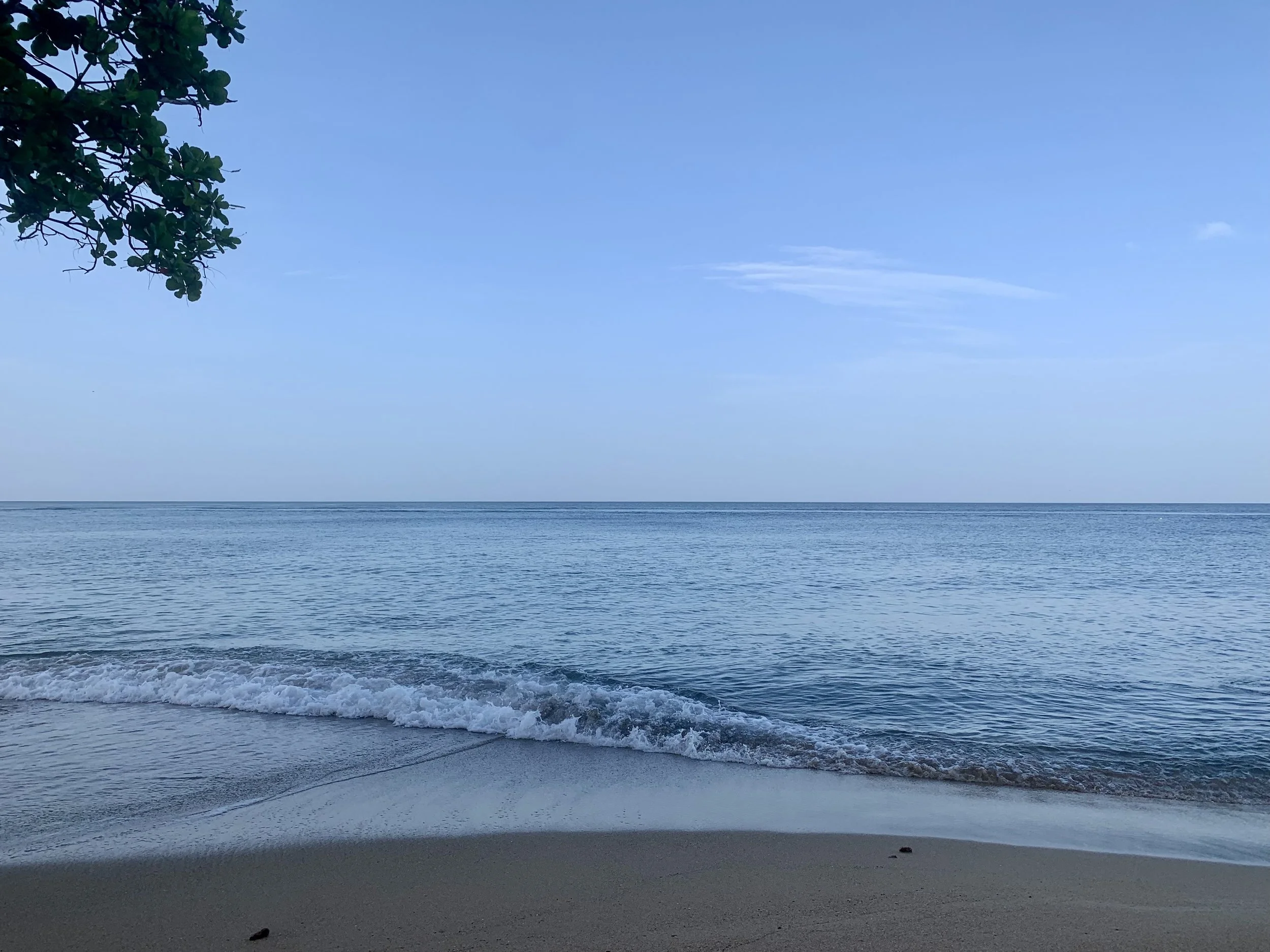 Conjugations of the Sea