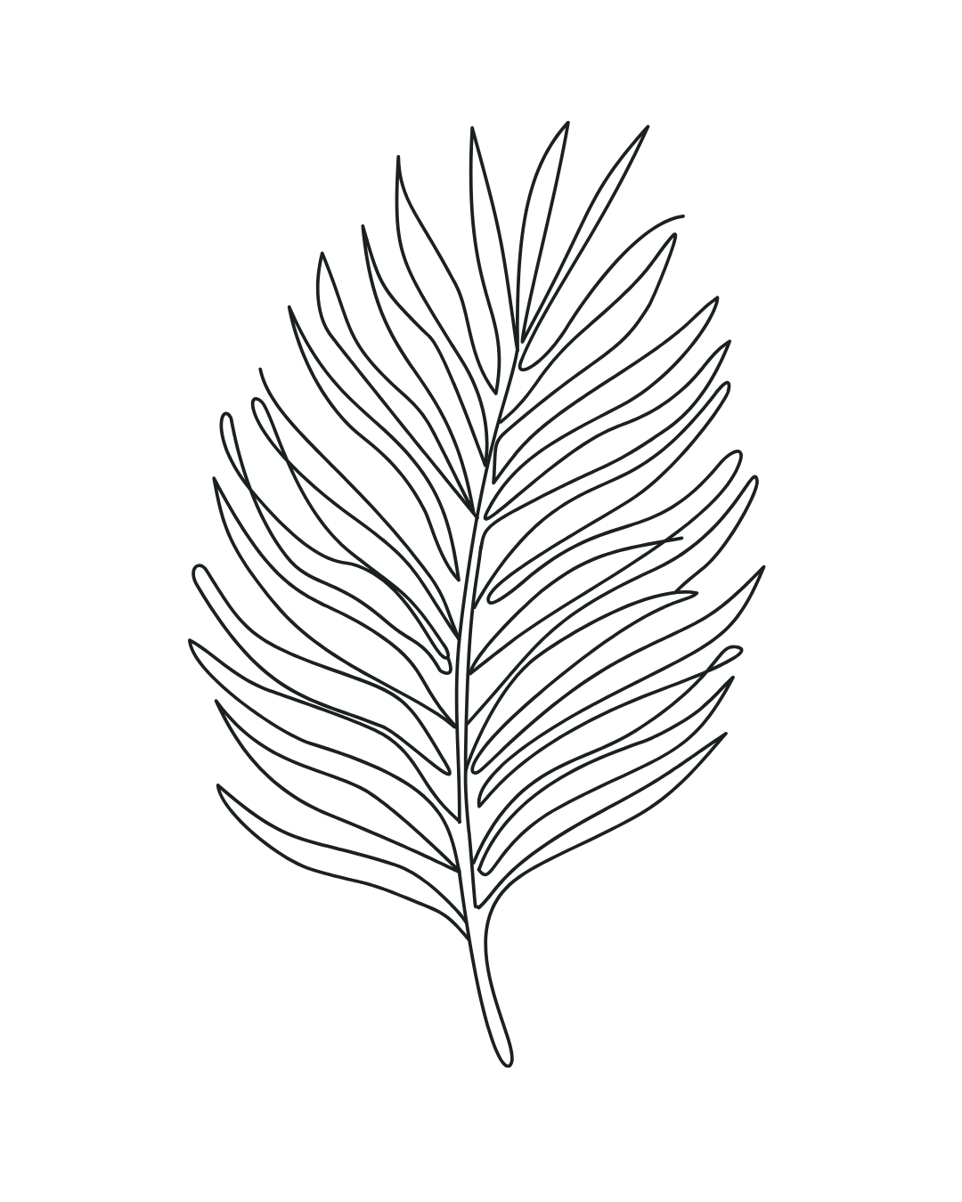 Outline of a fern leaf on a black background.