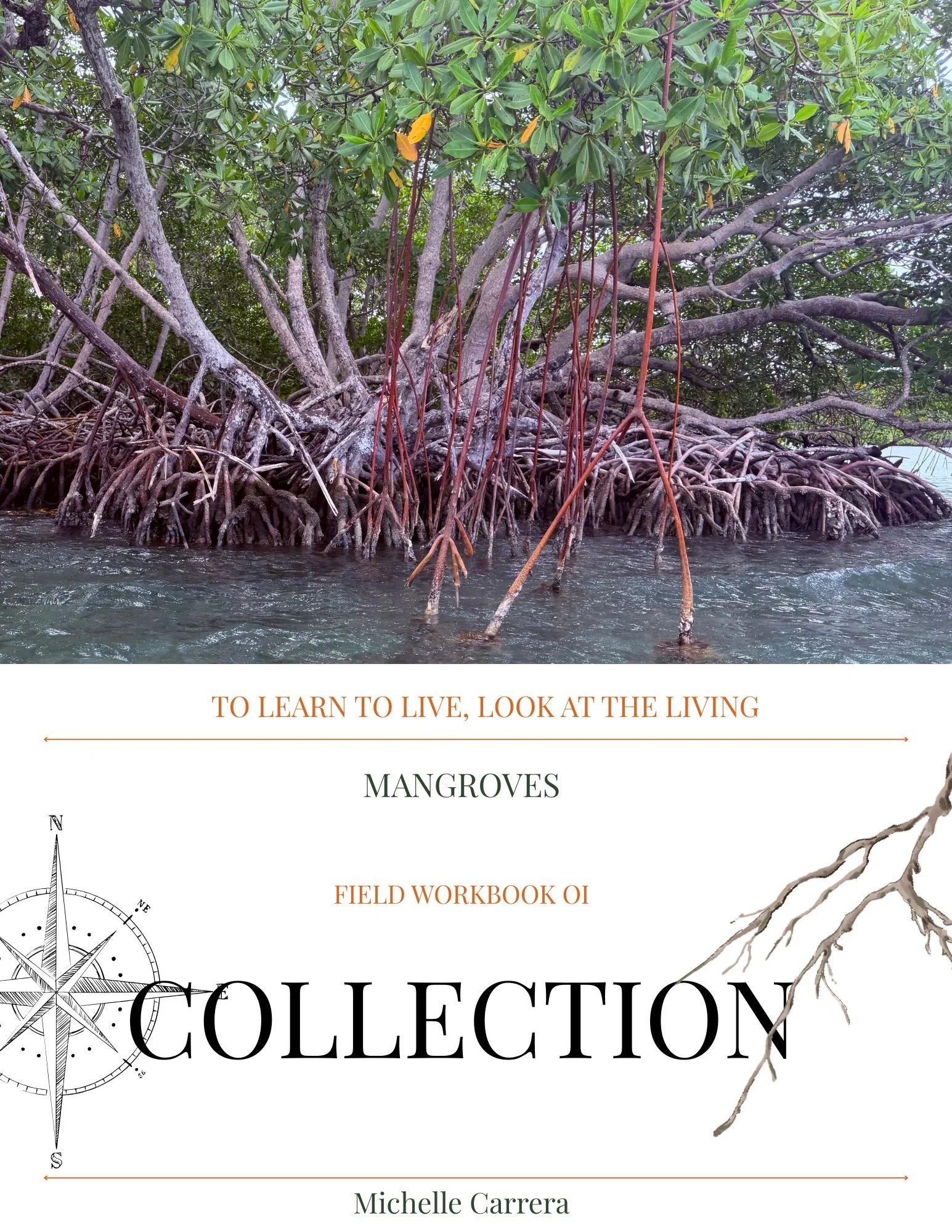 WORKBOOK COVERS TO LEARN TO LIVE, LOOK AT THE LIVING.jpg