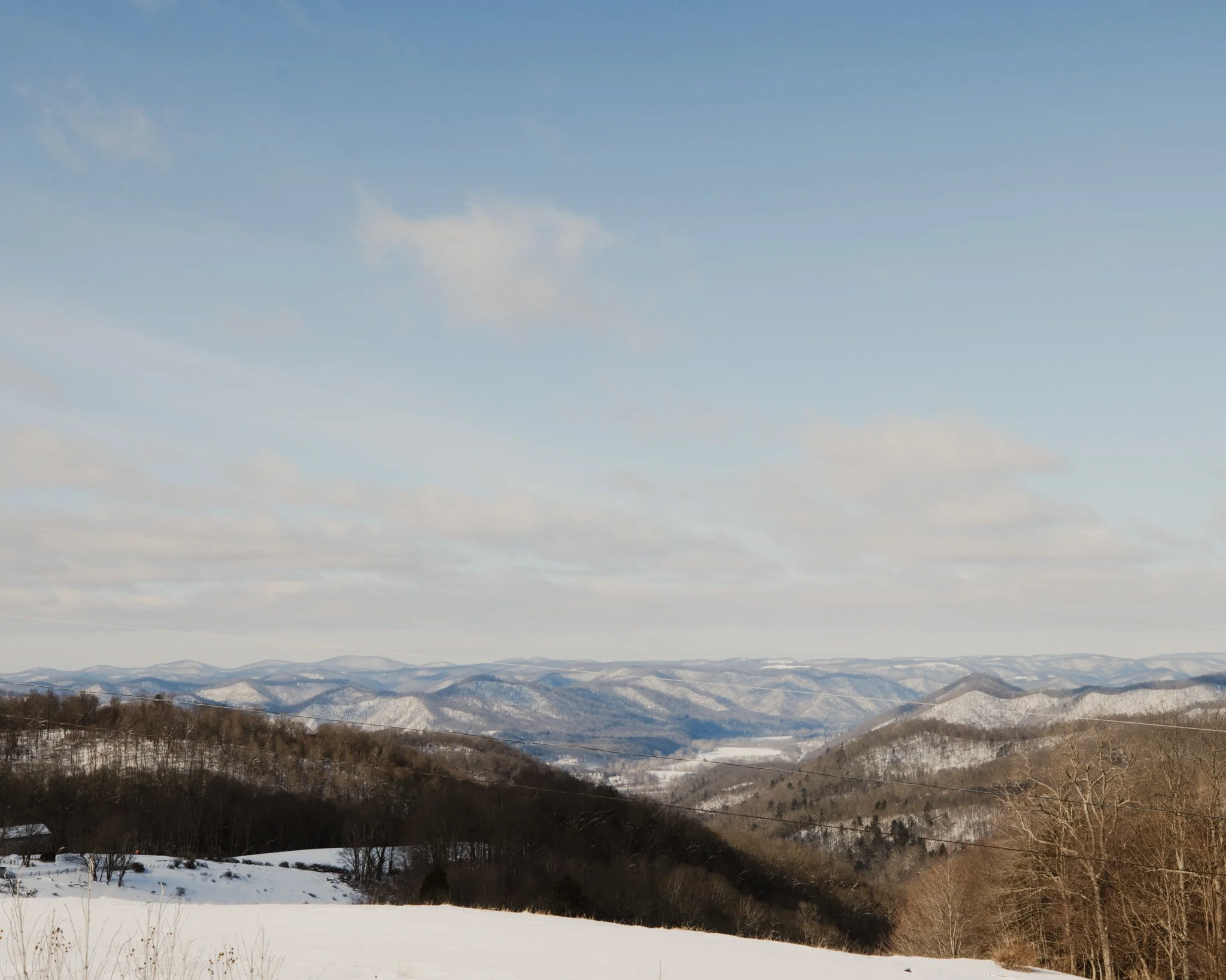 _MG_8733.jpg