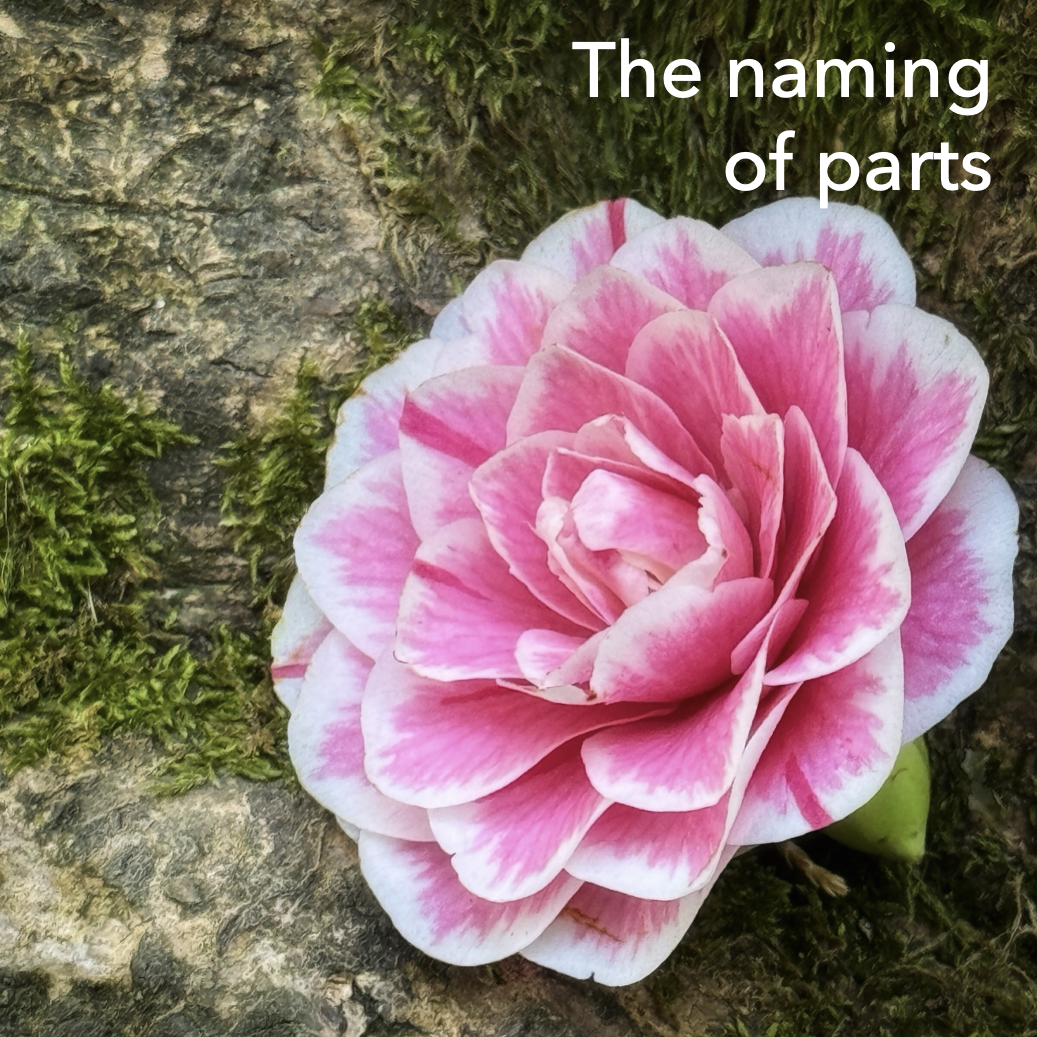 The naming of parts