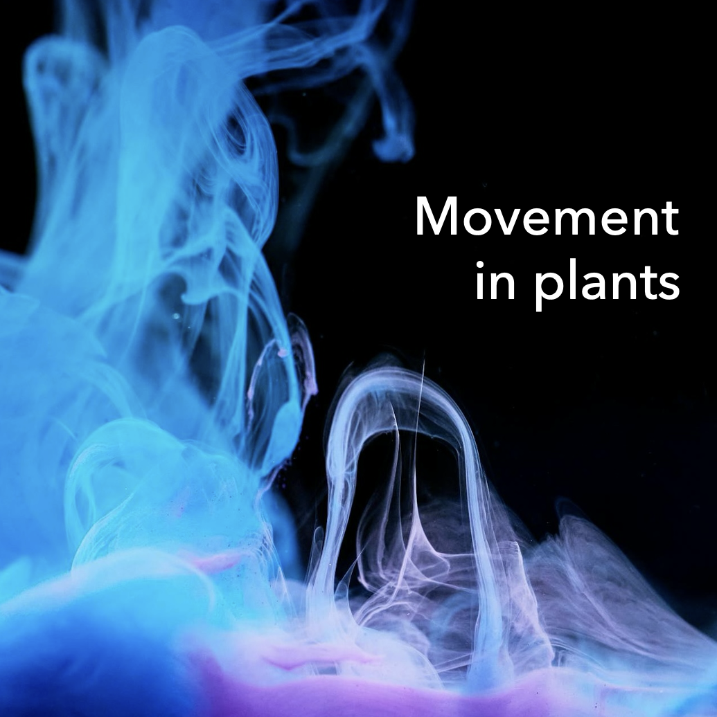 Movement in plants