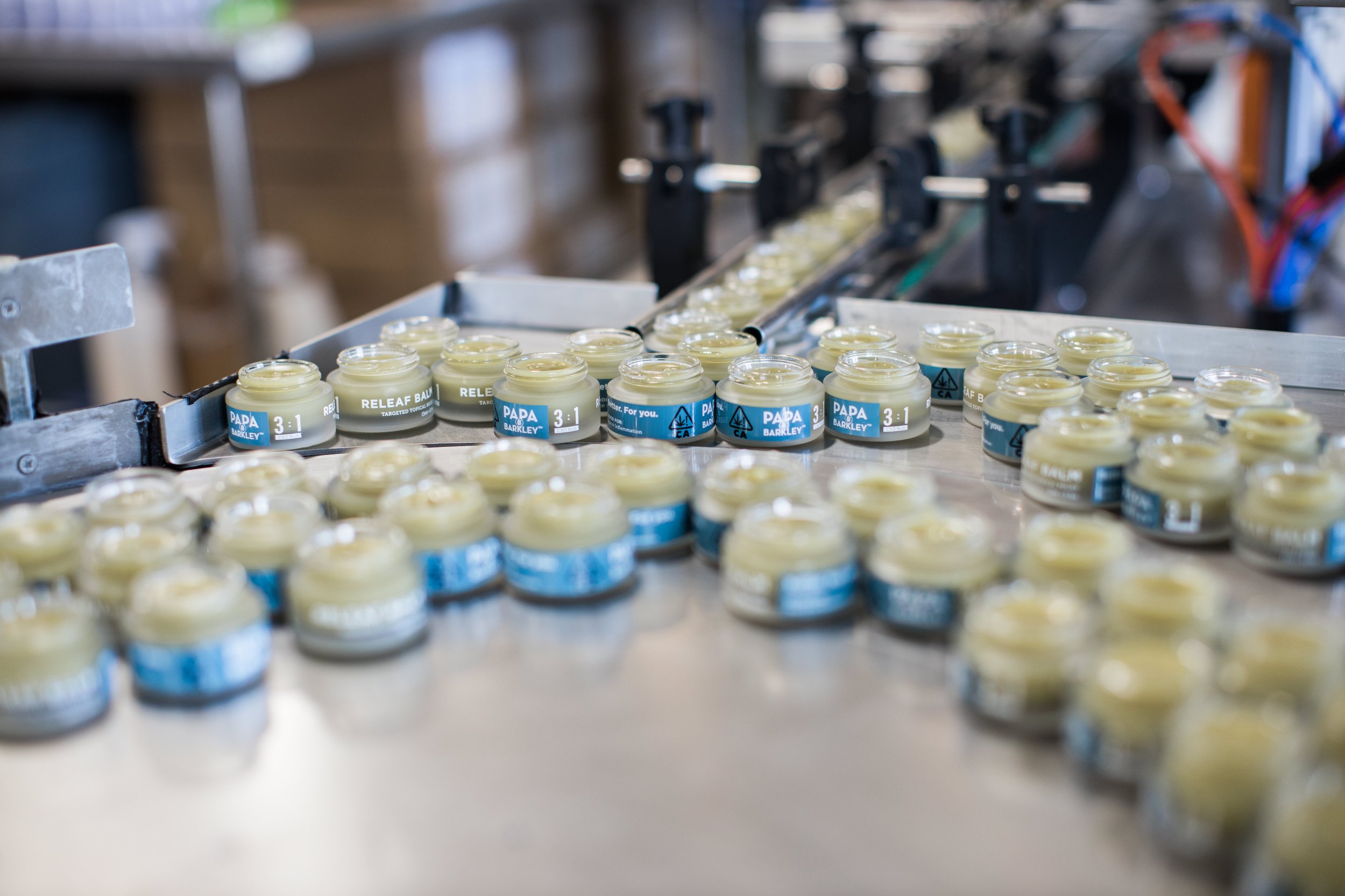 P&B Farms 2019-204.jpg