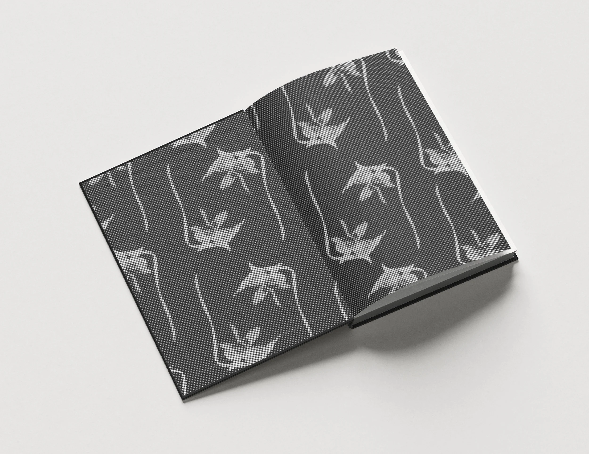 SE - mockup - 02 ENDPAPERS.jpeg