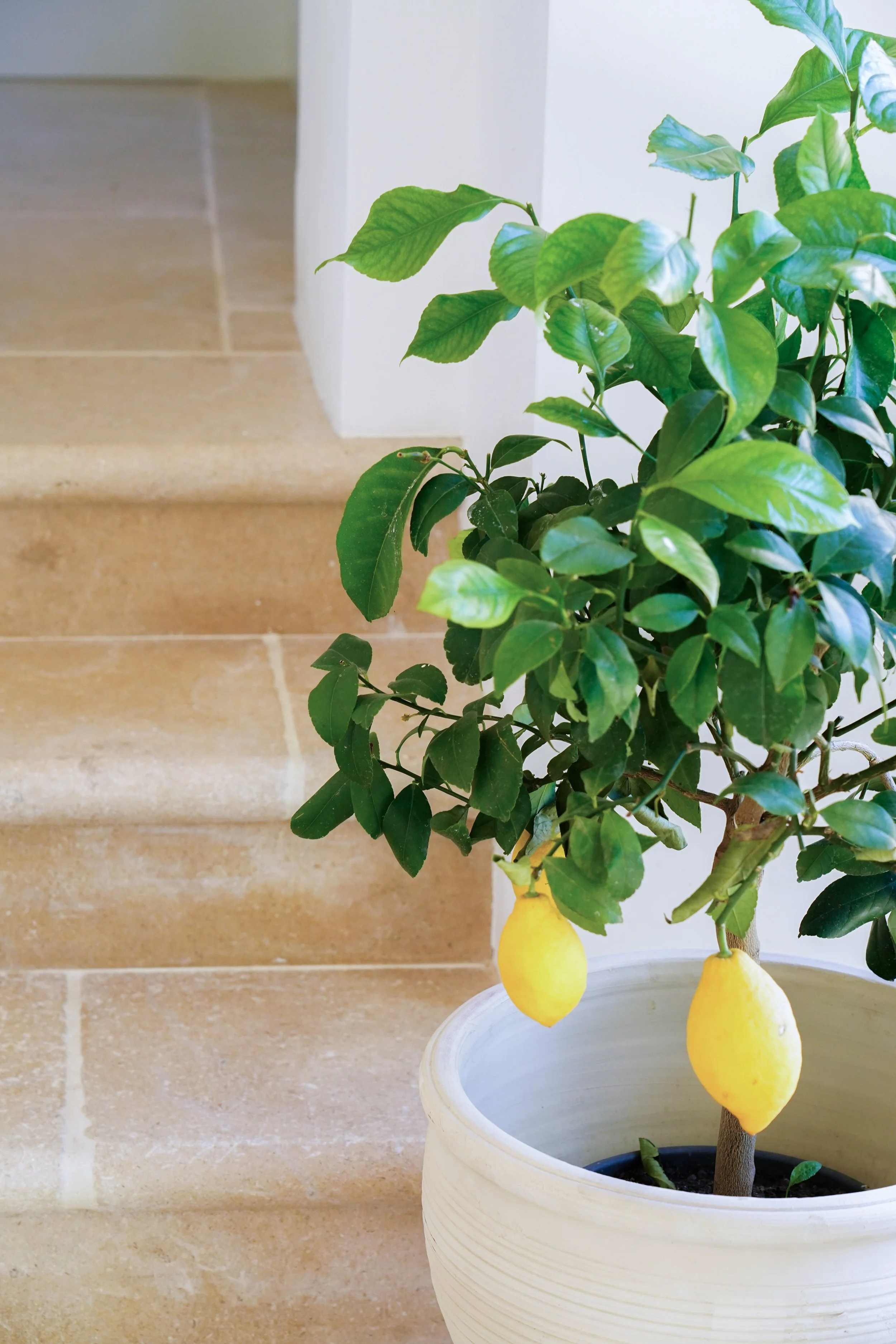 The Spring Reset Your Nervous System’s Been Waiting For