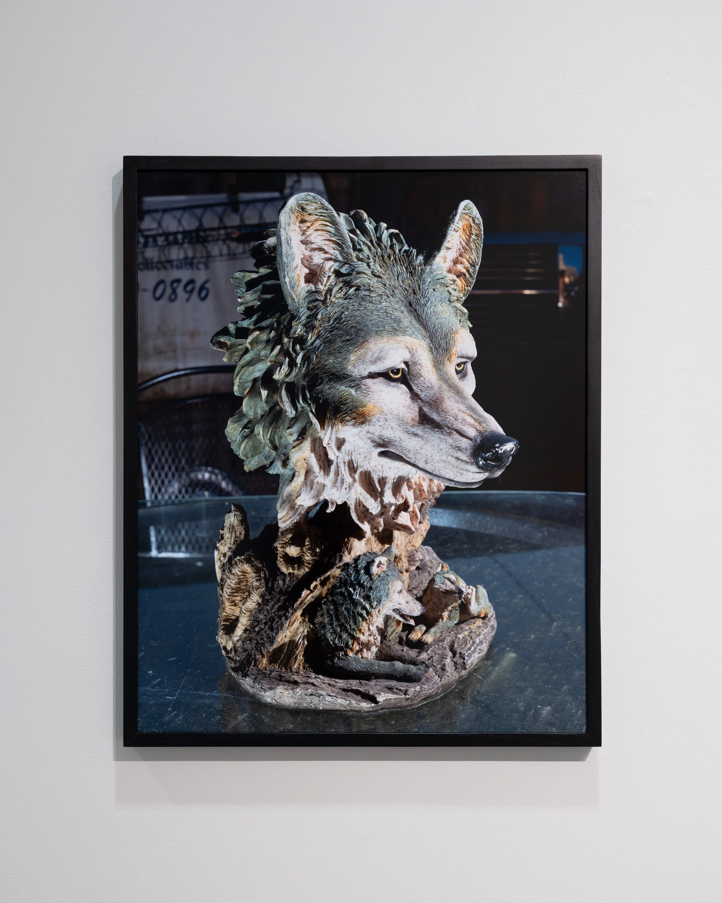 Wolf.jpg
