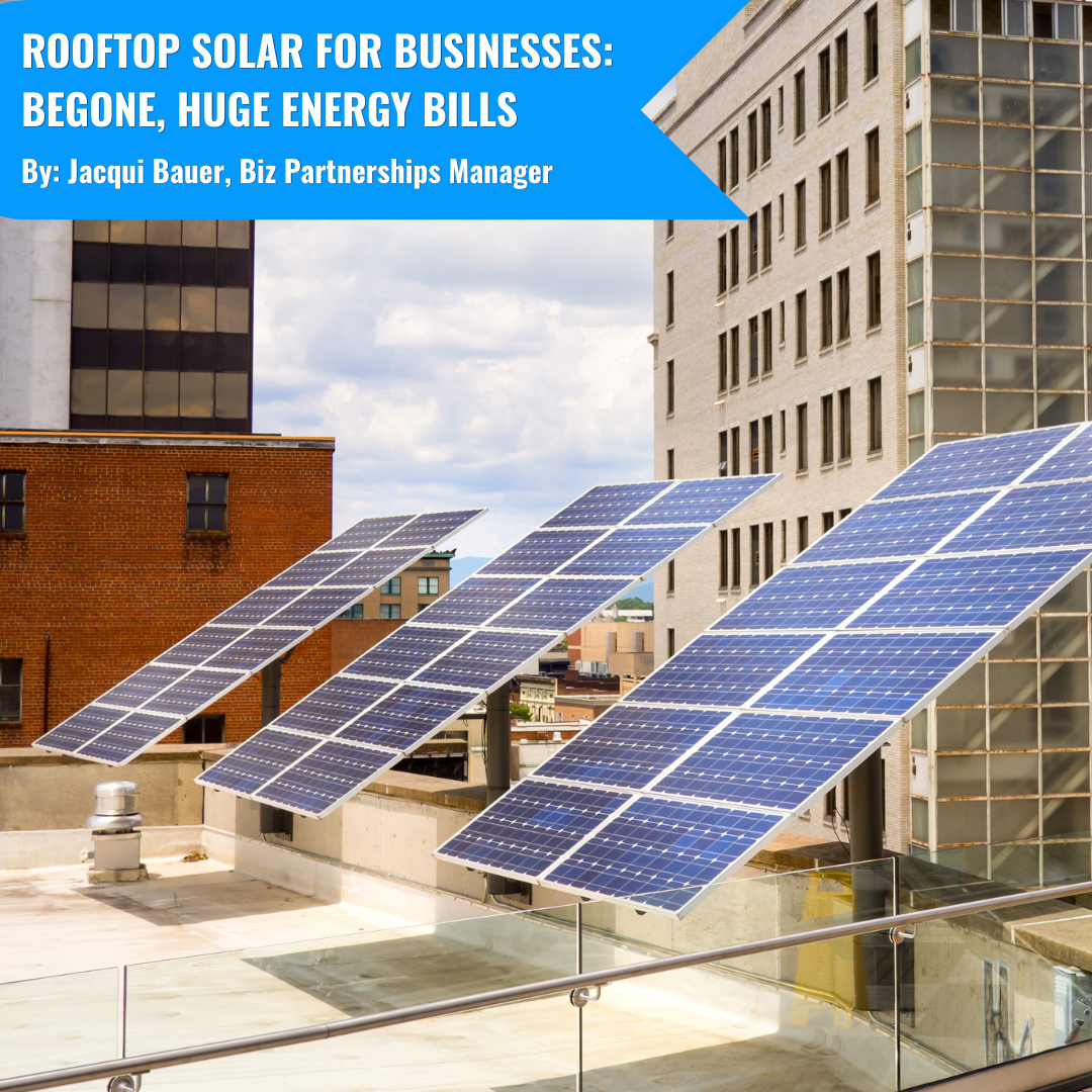 Rooftop solar for businesses: Begone, huge energy bills