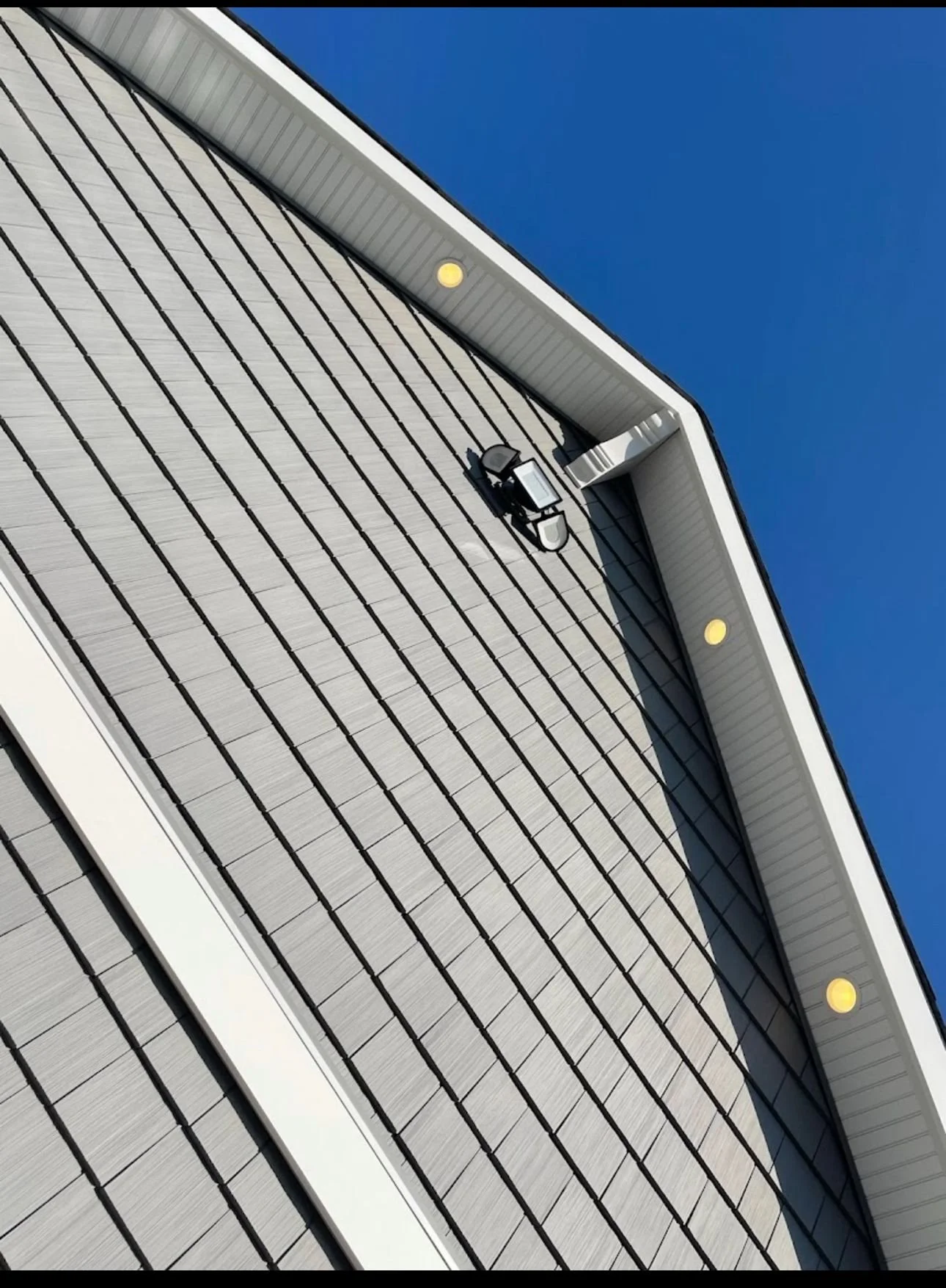 WhatsApp Image 2024-02-14 at 16.26.17.jpeg