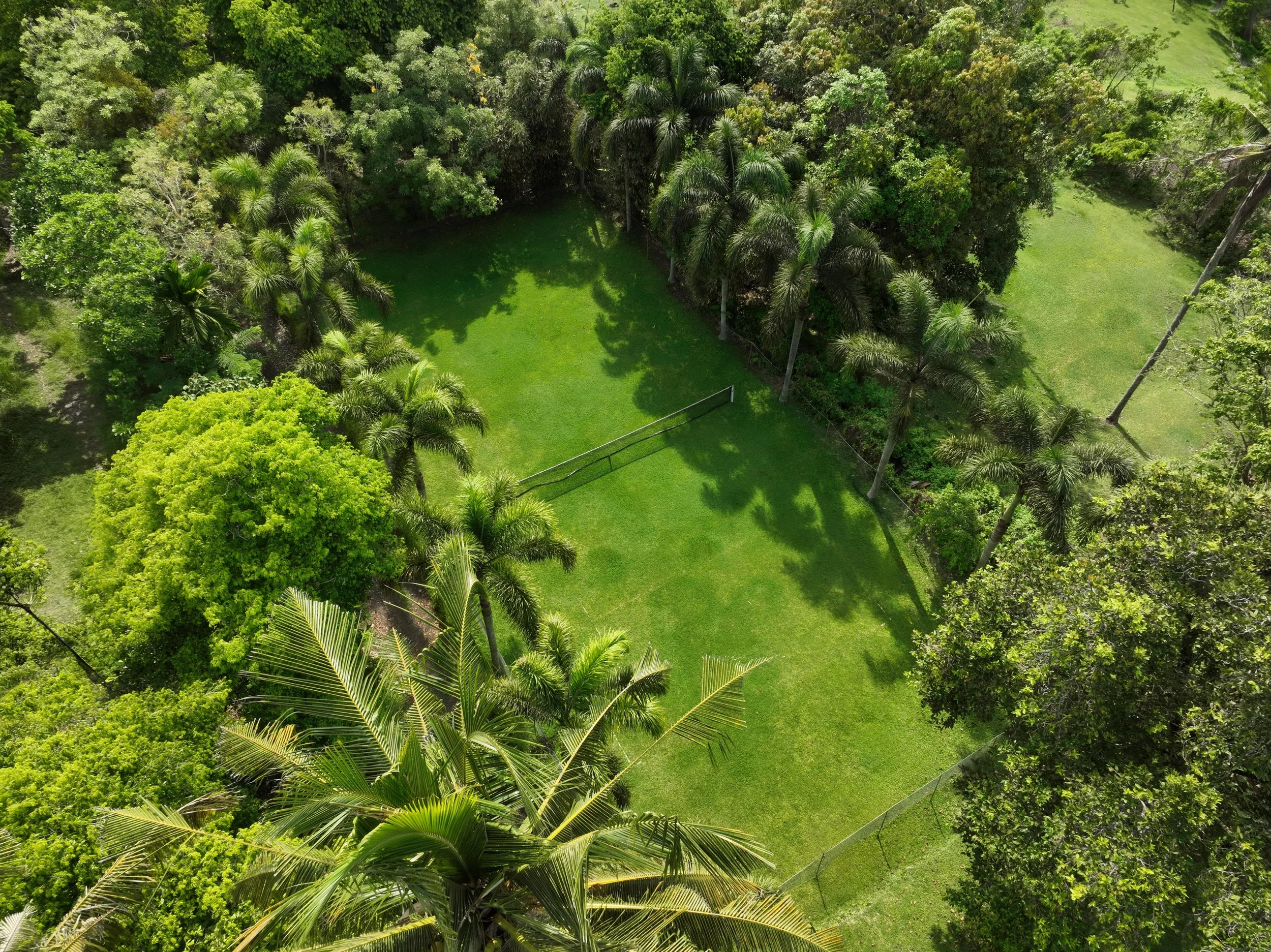 The Cove Tennis Courts.jpeg
