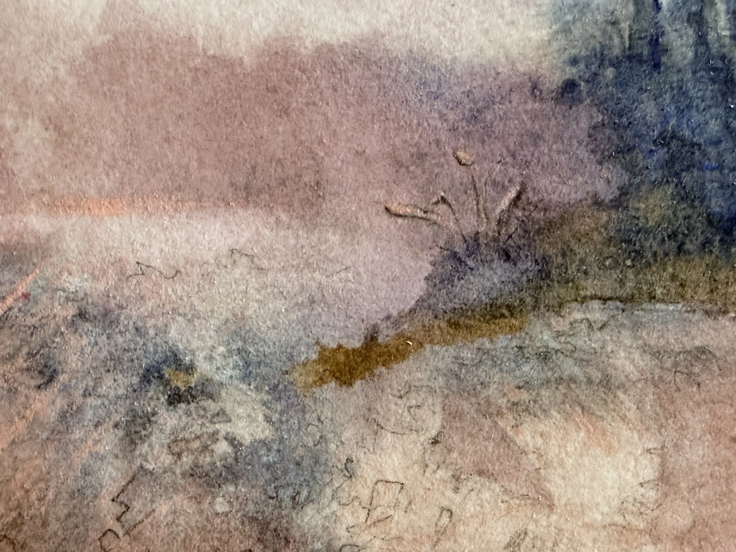 Lilys-5x7-2026-detail.jpg