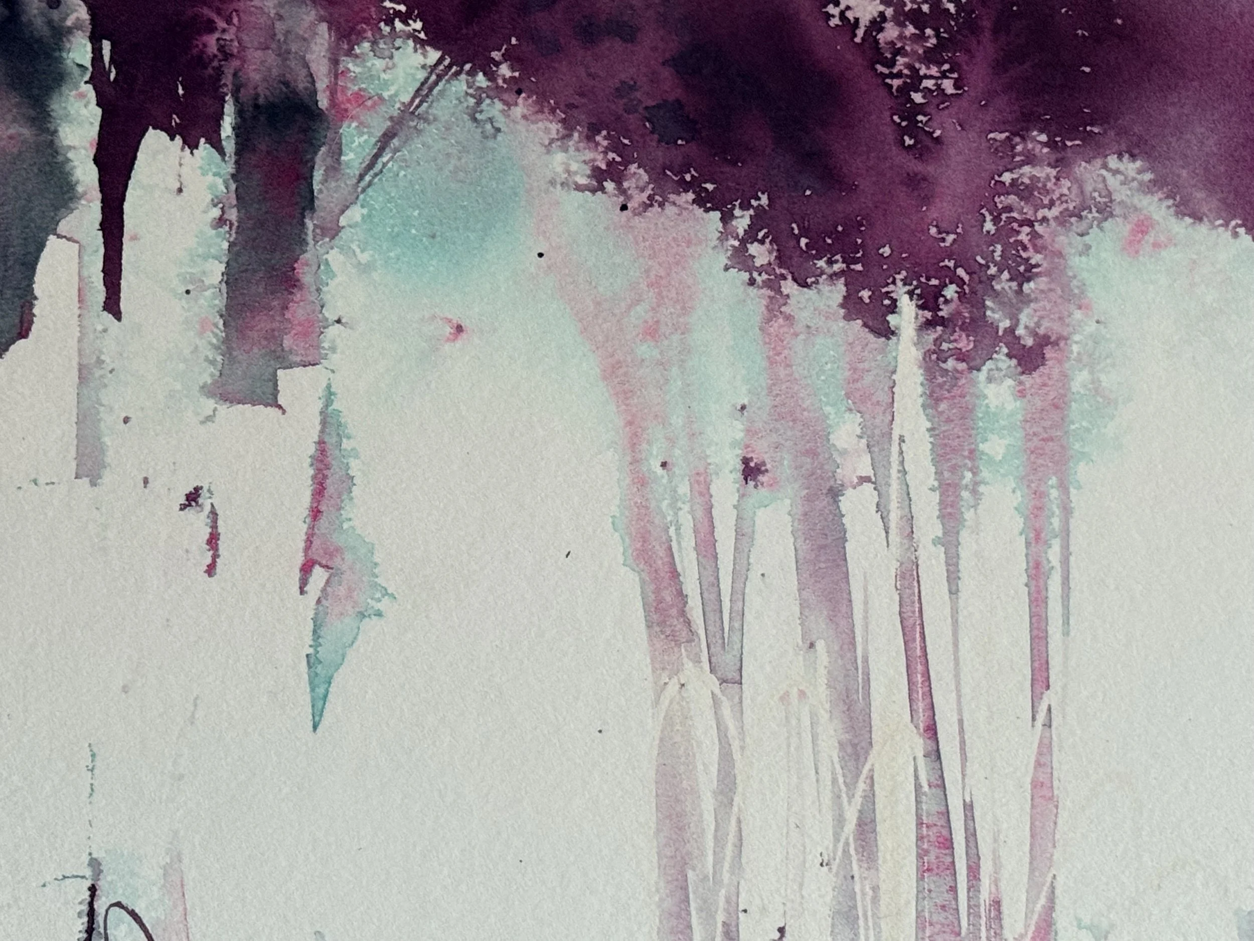 torn_path-3.jpg