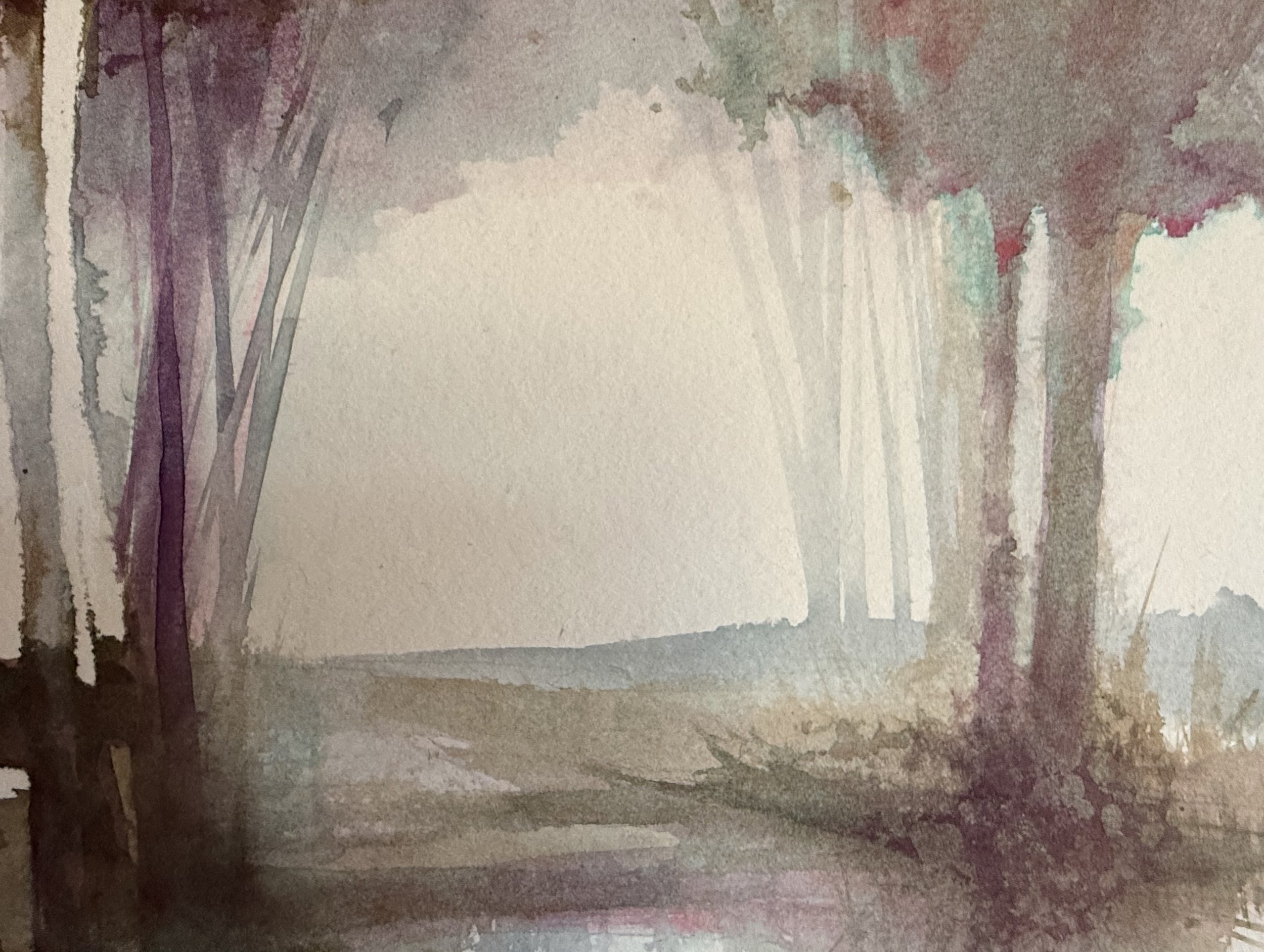 woodlands
