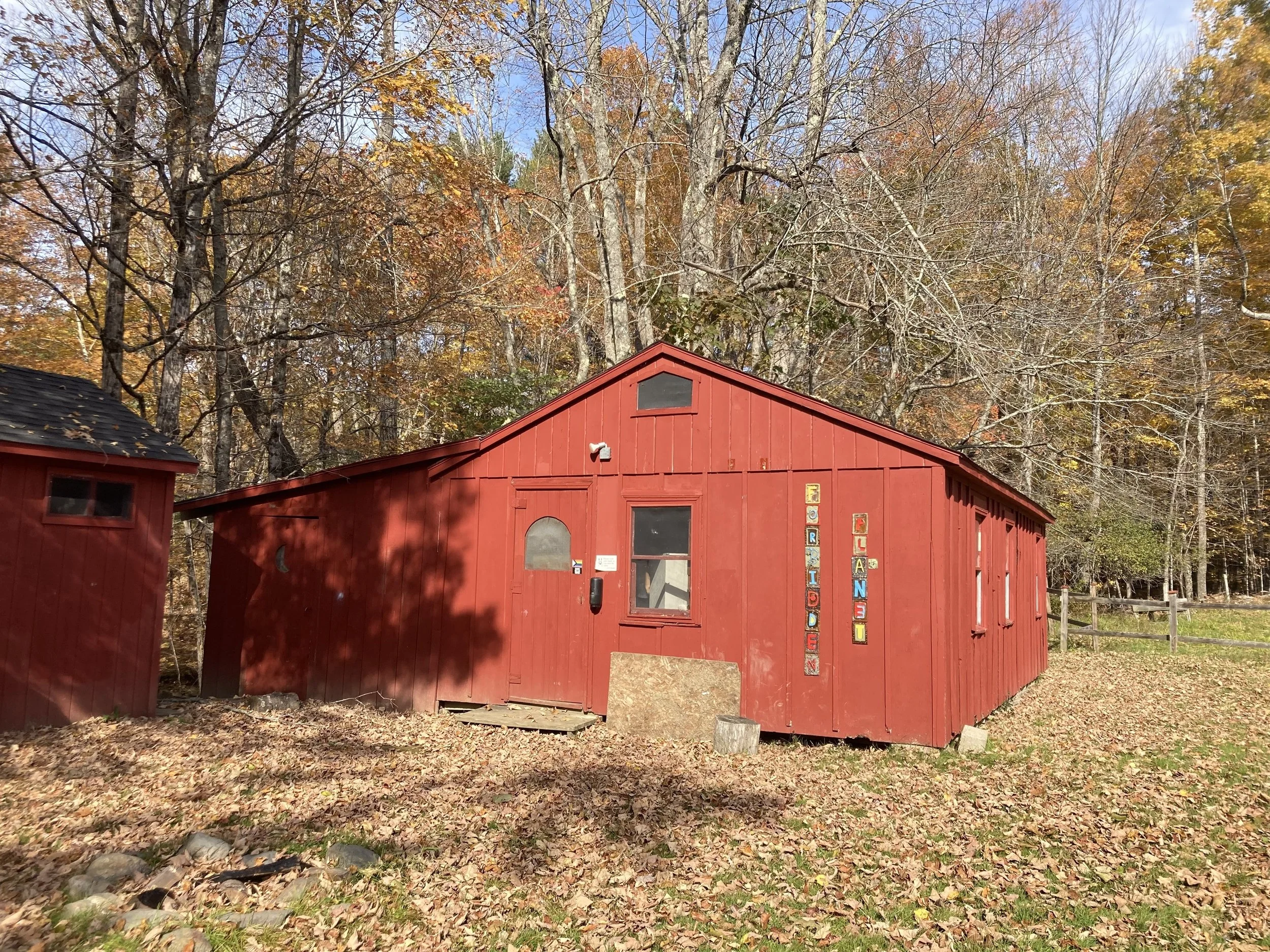 Red wooden building in a fall forest with fallen leaves, trees with autumn foliage, and a blue sky.