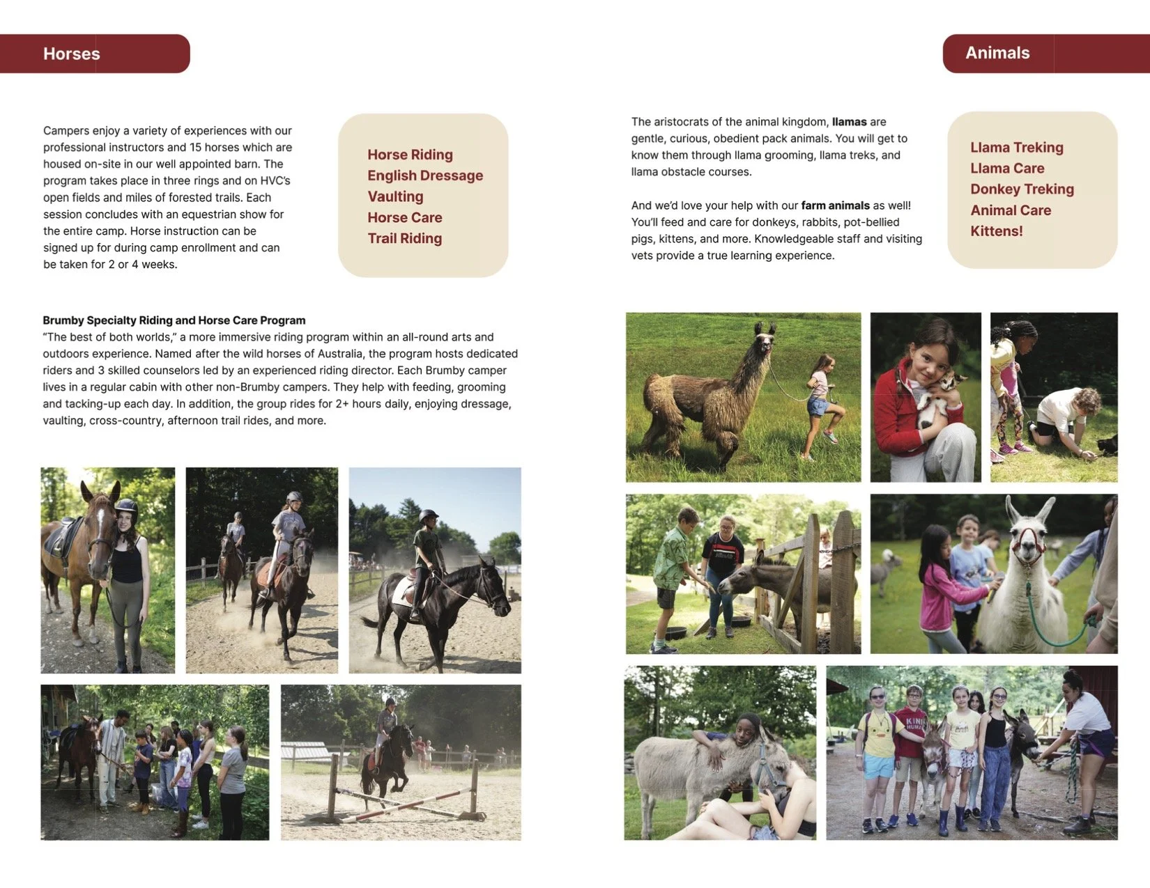 2025 Brochure_Part7.jpg