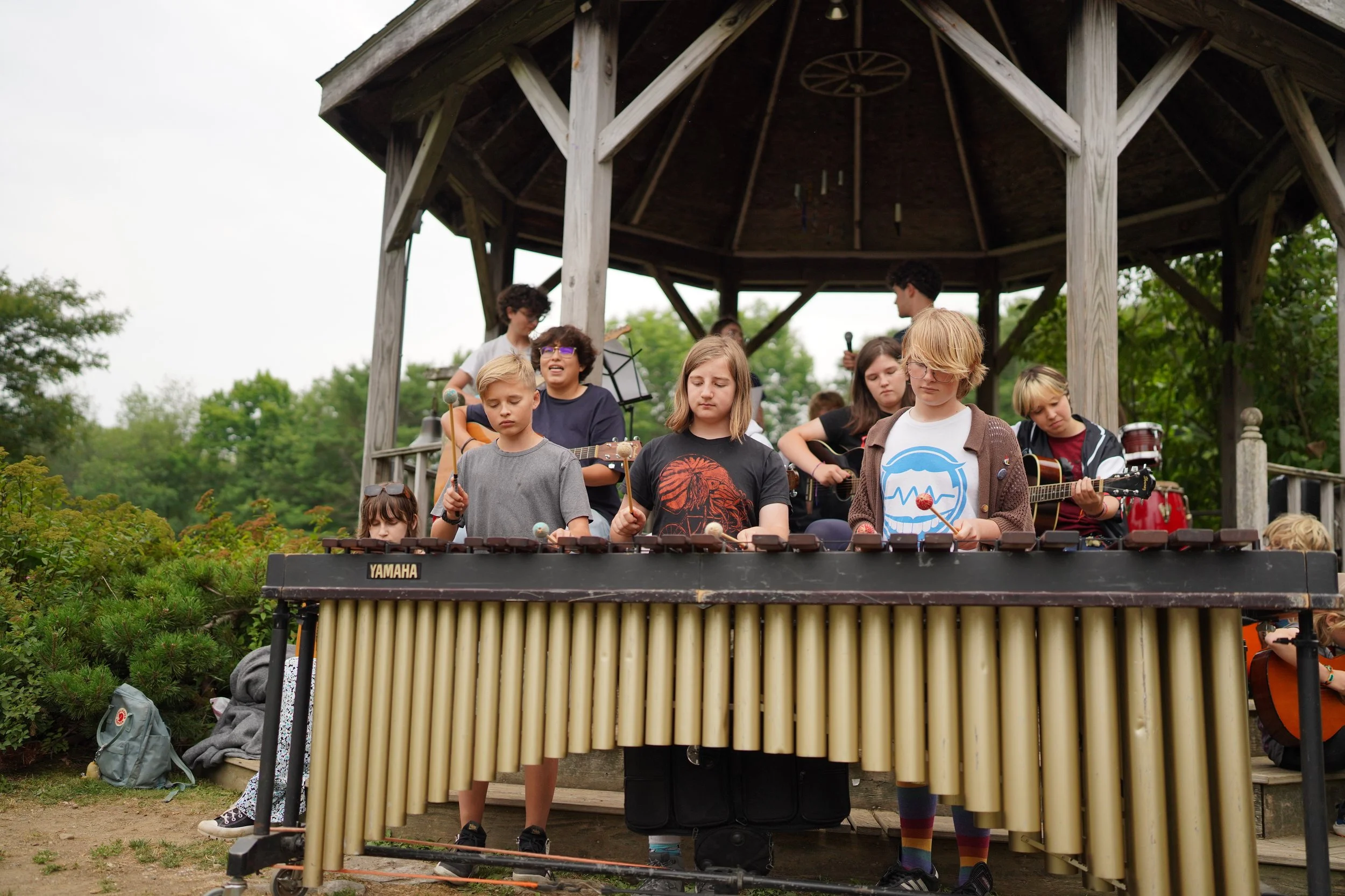 Introducing HV Arts and HV Performance