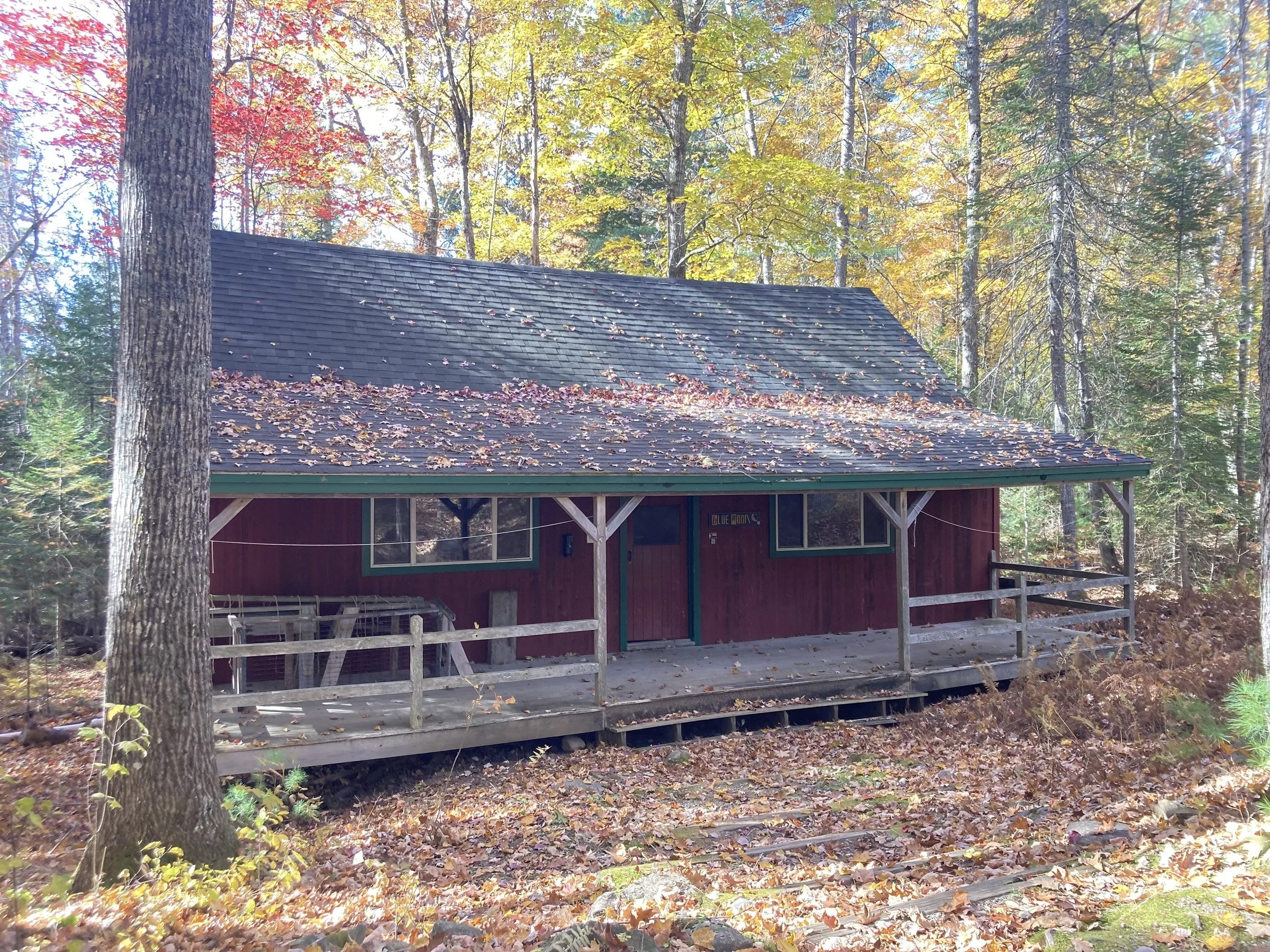 A red wooden cabin with a covered porch, surrounded by autumn trees with colorful fallen leaves on the ground and on the roof.